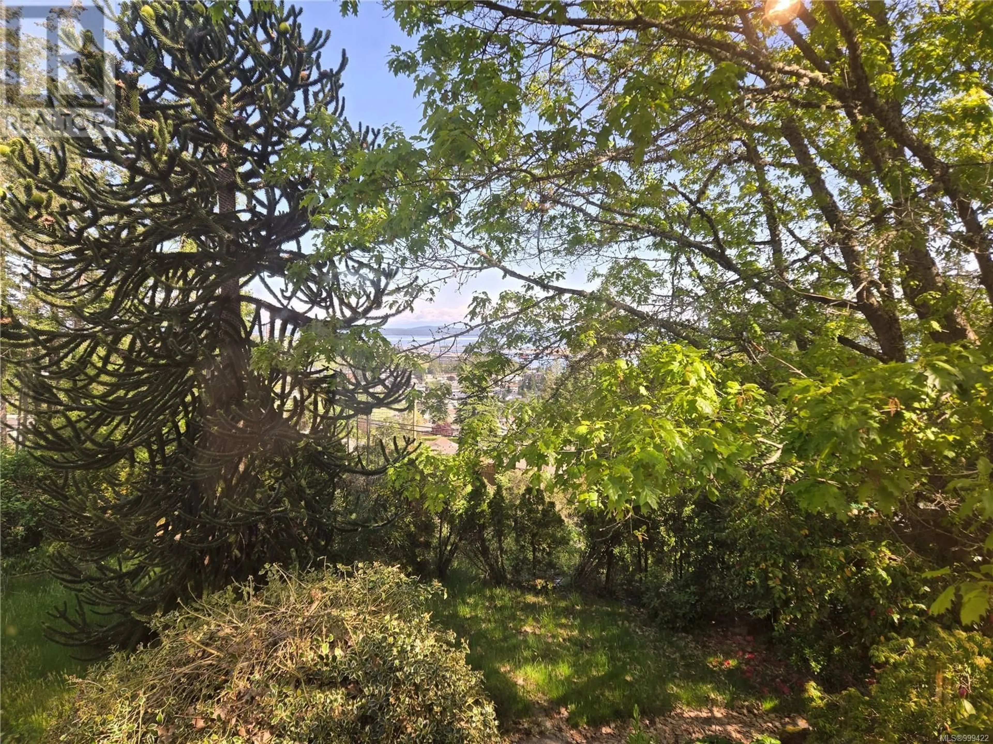 A pic from outside/outdoor area/front of a property/back of a property/a pic from drone, forest/trees view for 7908 OSBORNE BAY ROAD, Crofton British Columbia V0R1R0