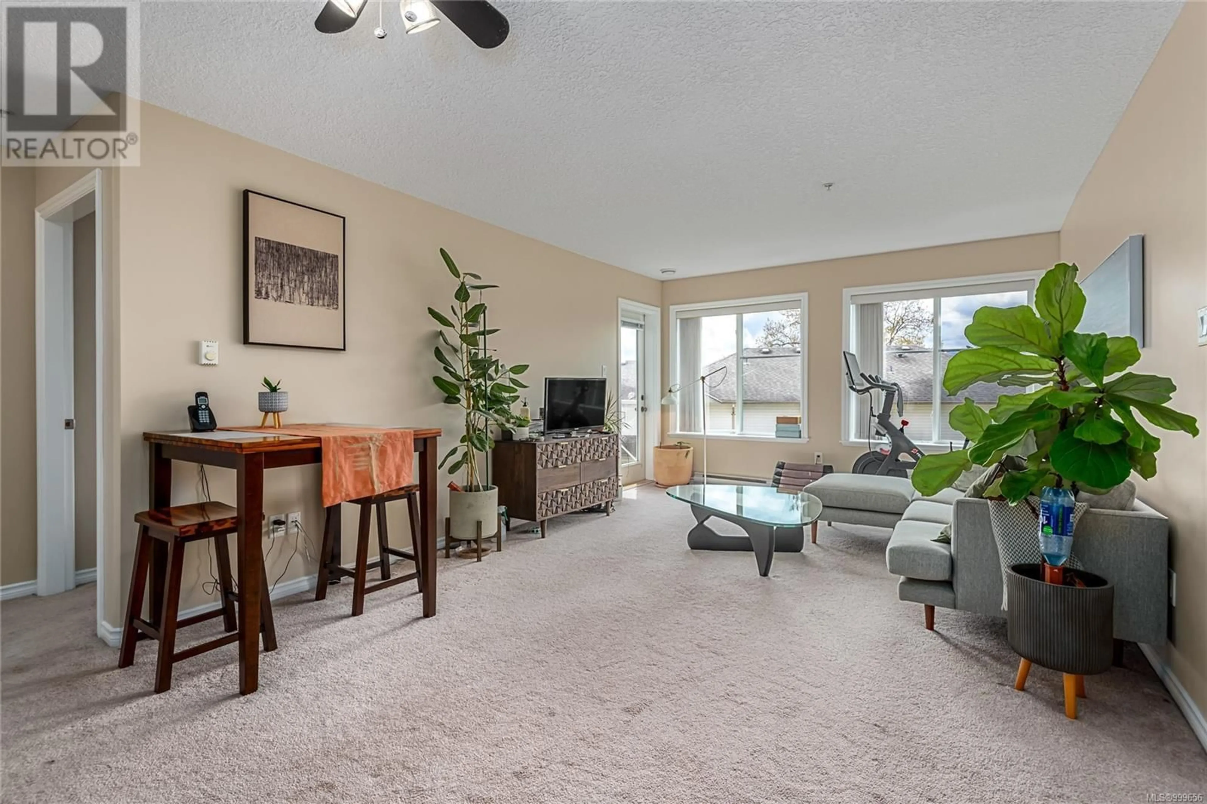 Living room with furniture, carpet floor for 204 - 129 BACK ROAD, Courtenay British Columbia V9N3W5