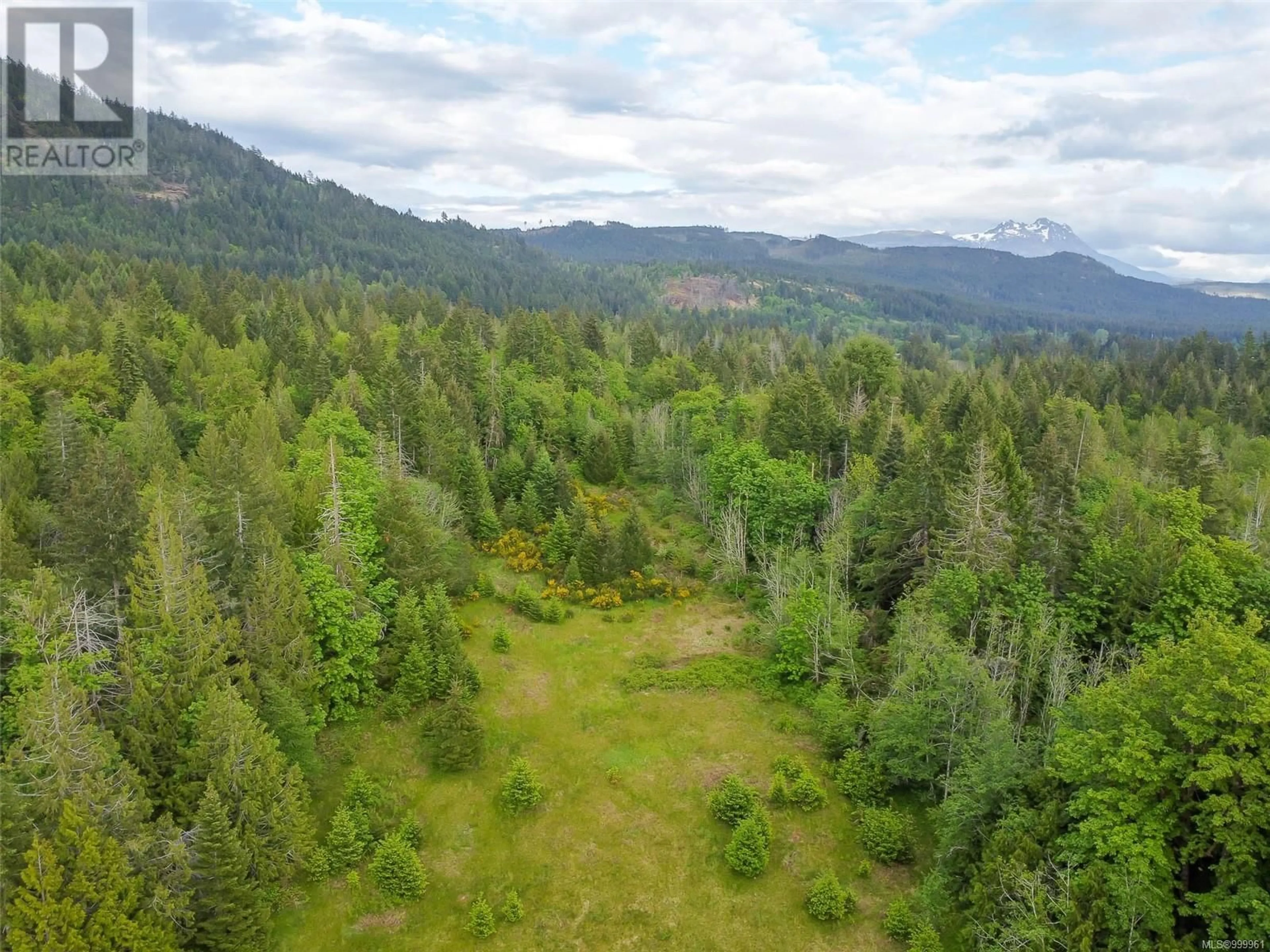 A pic from outside/outdoor area/front of a property/back of a property/a pic from drone, forest/trees view for 6767 CYPRESS BOULEVARD, Port Alberni British Columbia V9Y8T7