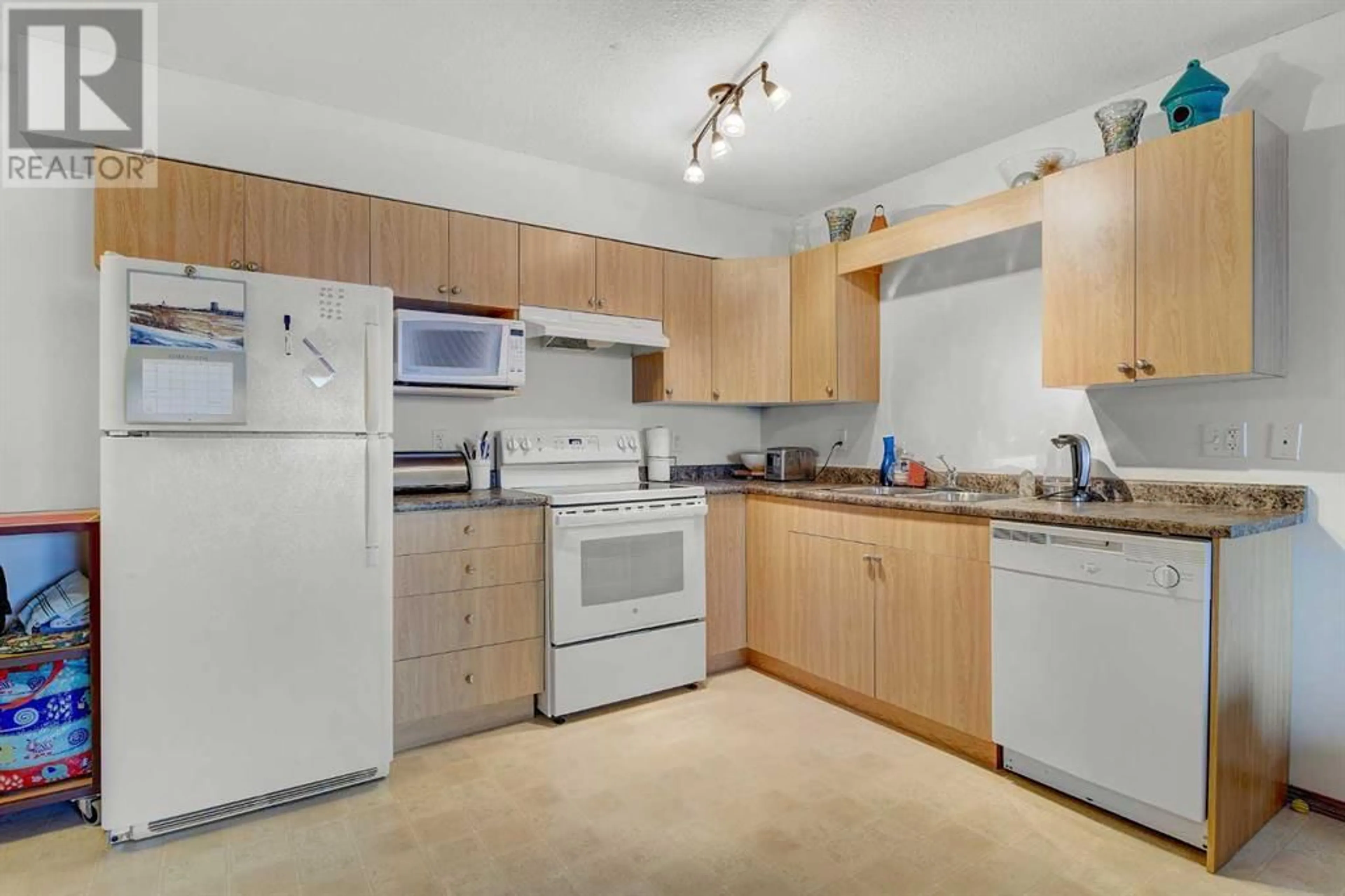 Standard kitchen for 208 12015 Royal Oaks Drive, Grande Prairie Alberta T8V2L9