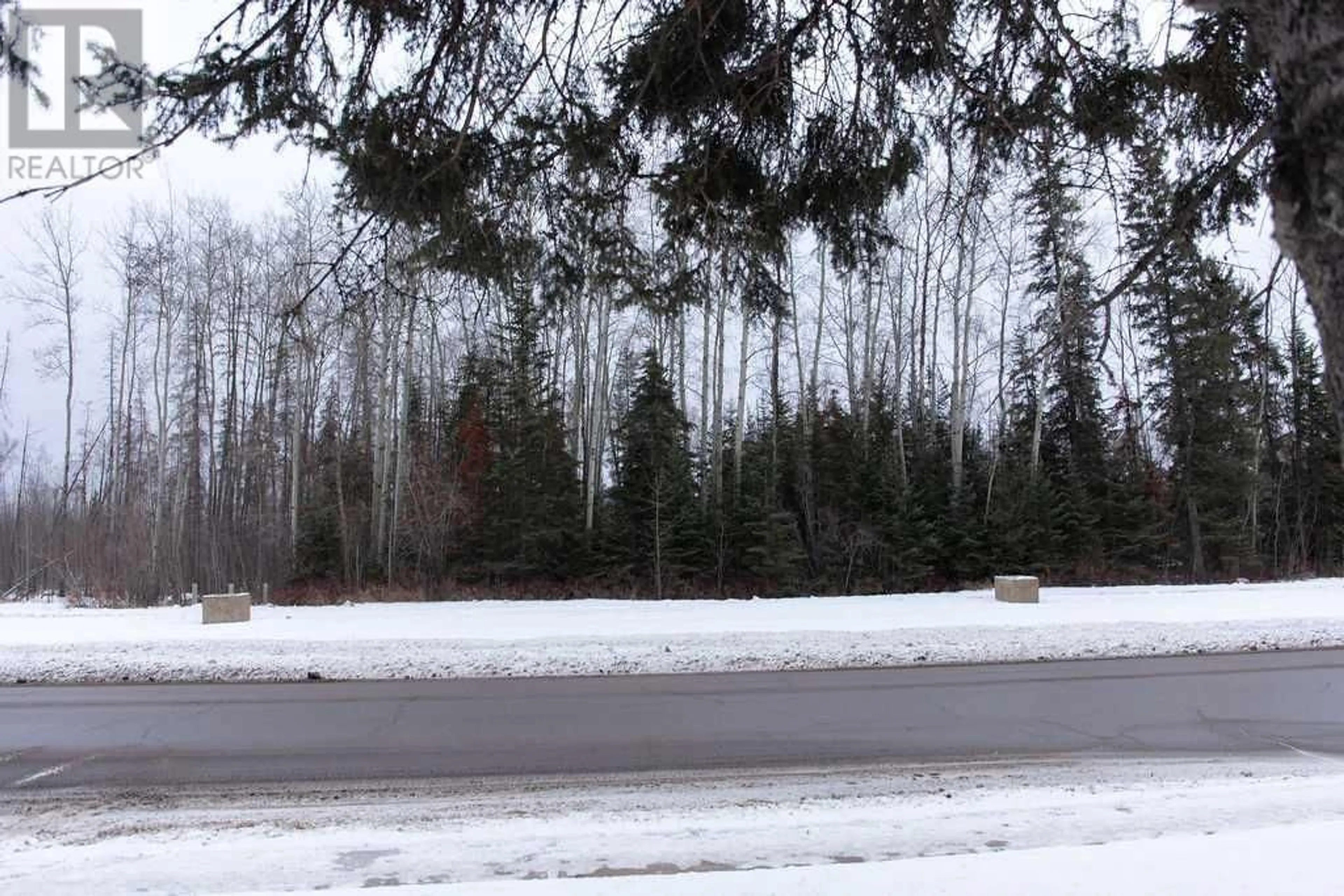 Forest view for 333 Signal Road, Fort McMurray Alberta T9H3W1