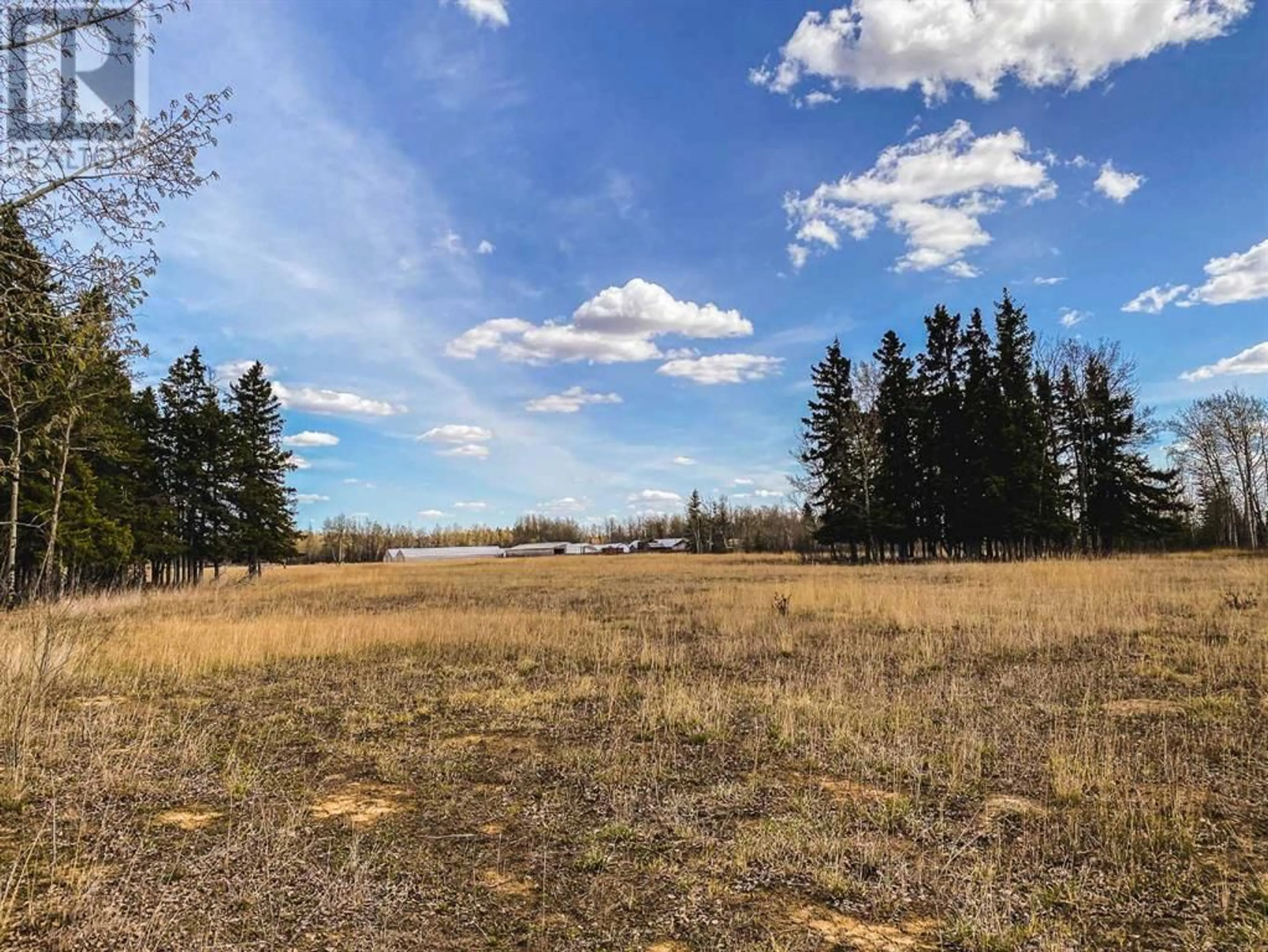 Forest view for 7551 820 Township, Rural Saddle Hills County Alberta T0H3G0