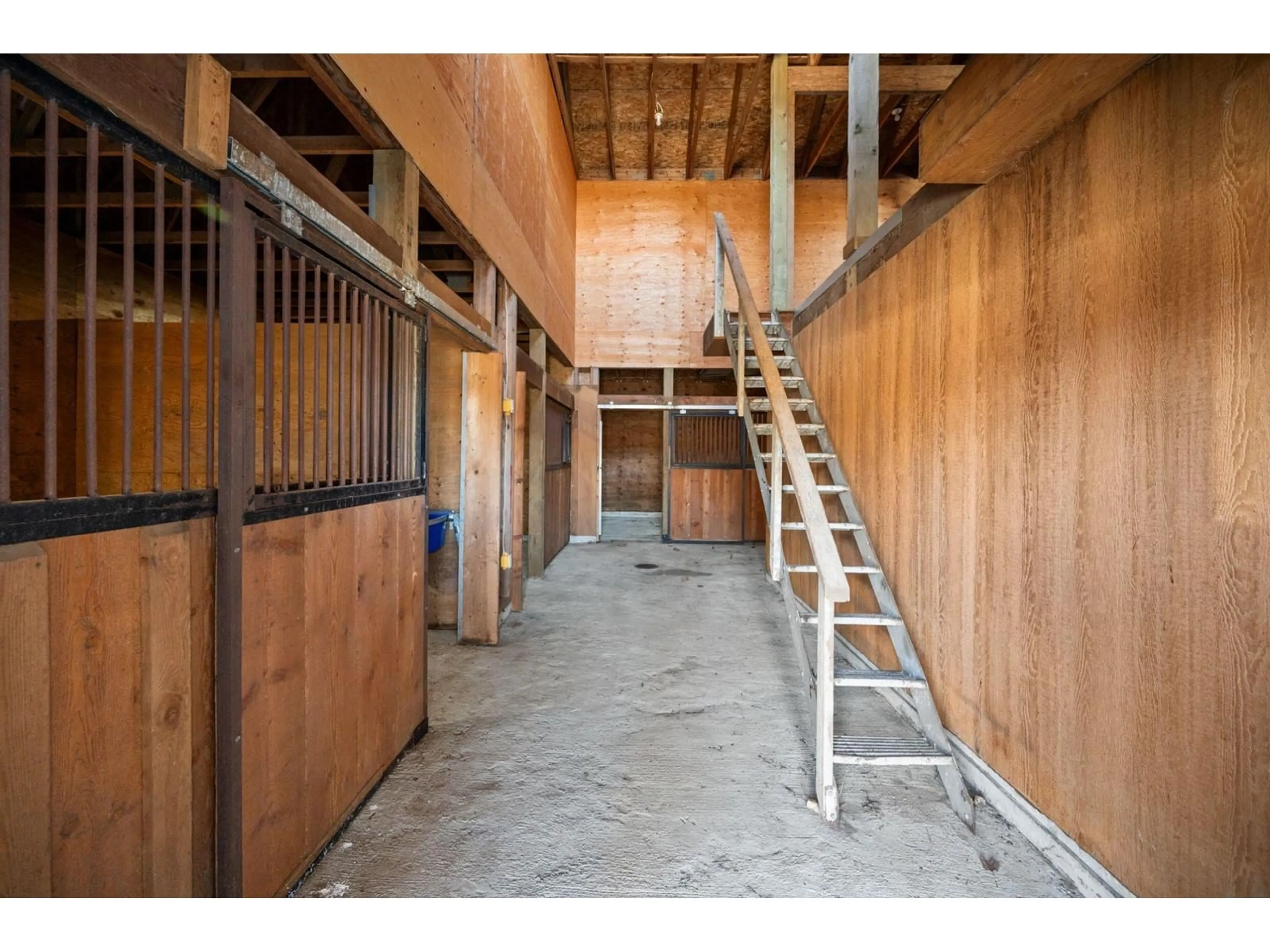 Indoor foyer for 3051 ELDRIDGE, Abbotsford British Columbia V3G2H4