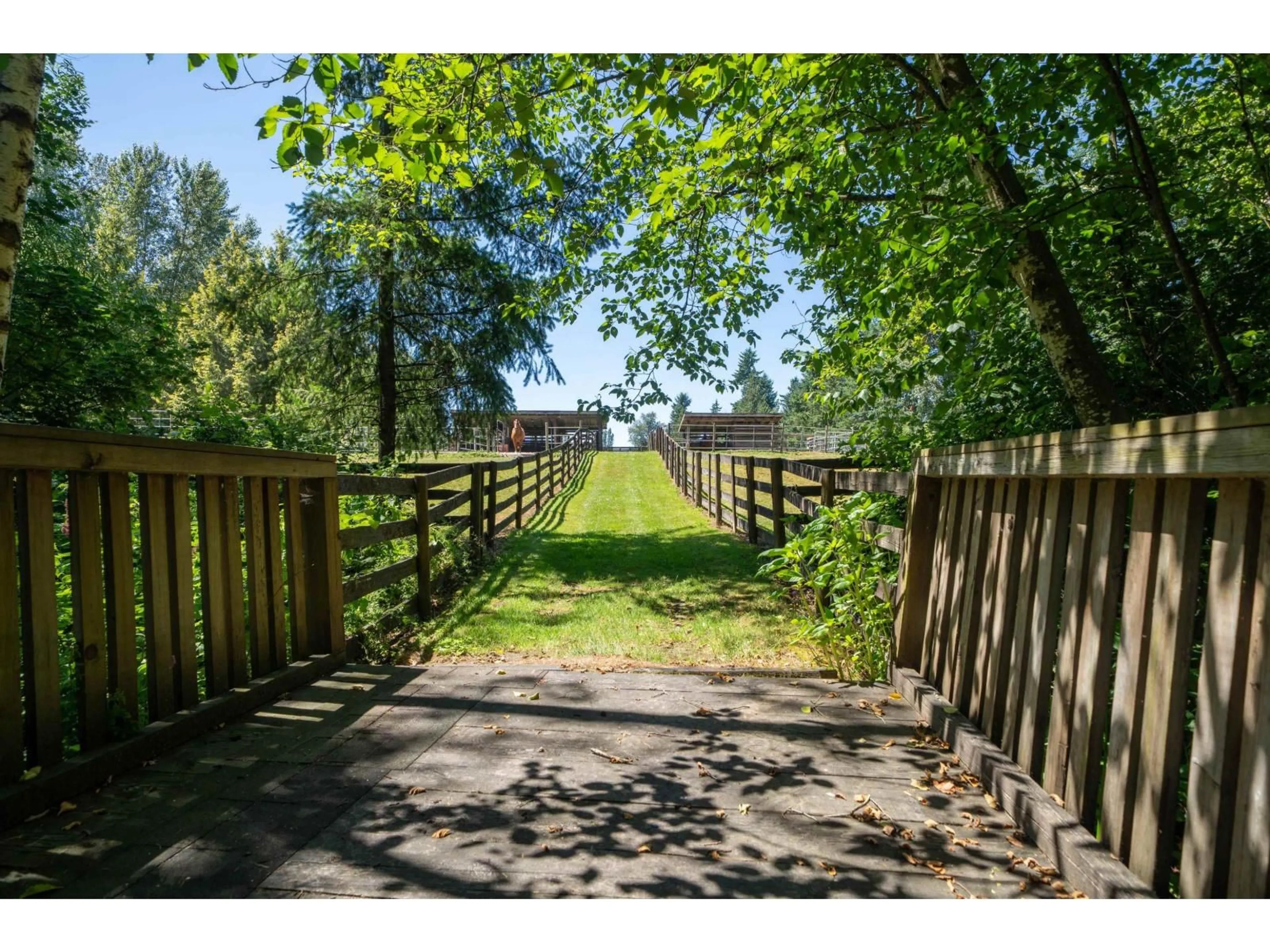 A pic from outside/outdoor area/front of a property/back of a property/a pic from drone, forest/trees view for 25177 64 AVENUE, Langley British Columbia V4W1H5