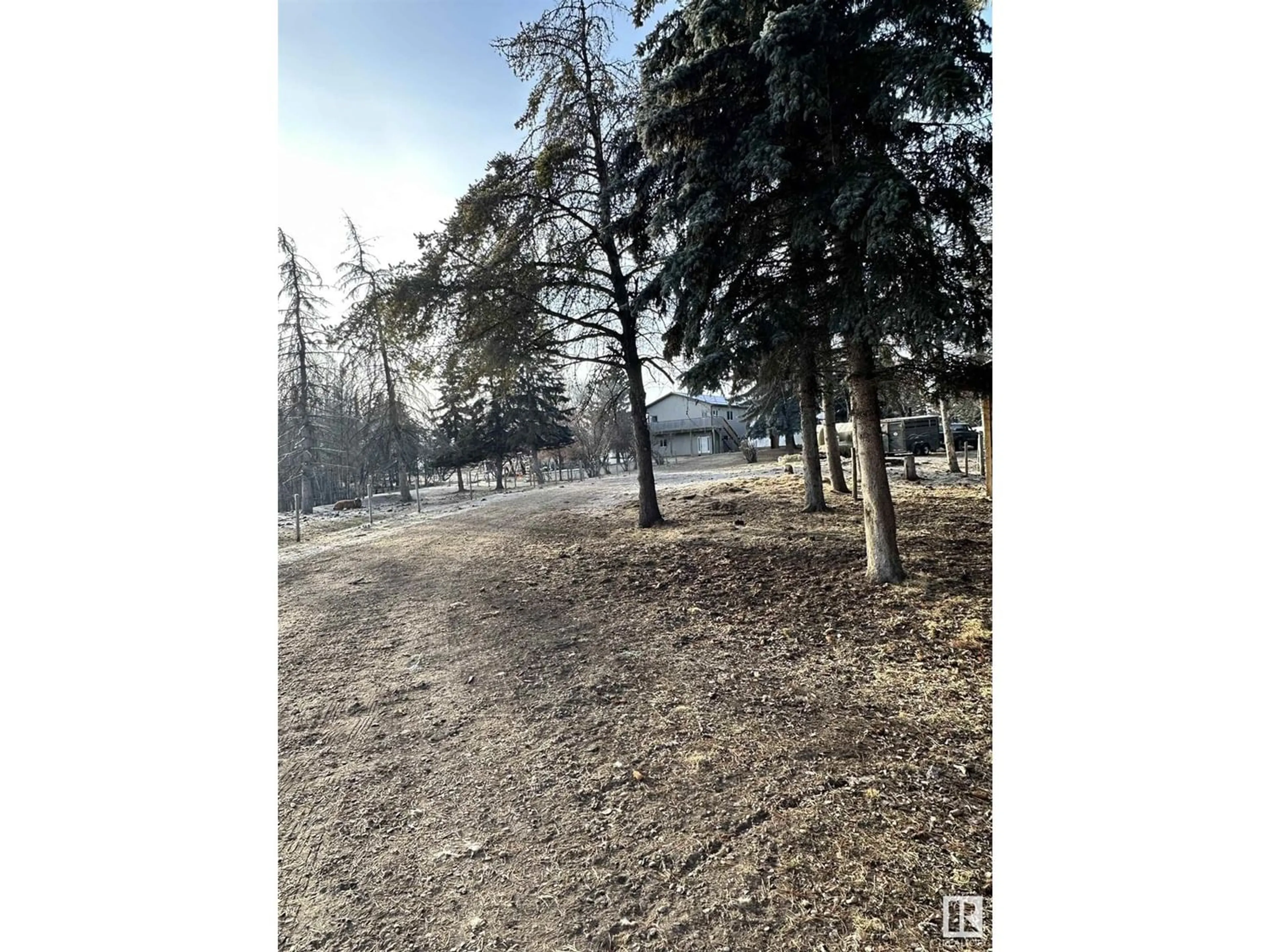 Forest view for 2121 TWP RD 525 B, Rural Parkland County Alberta T7Y2L4