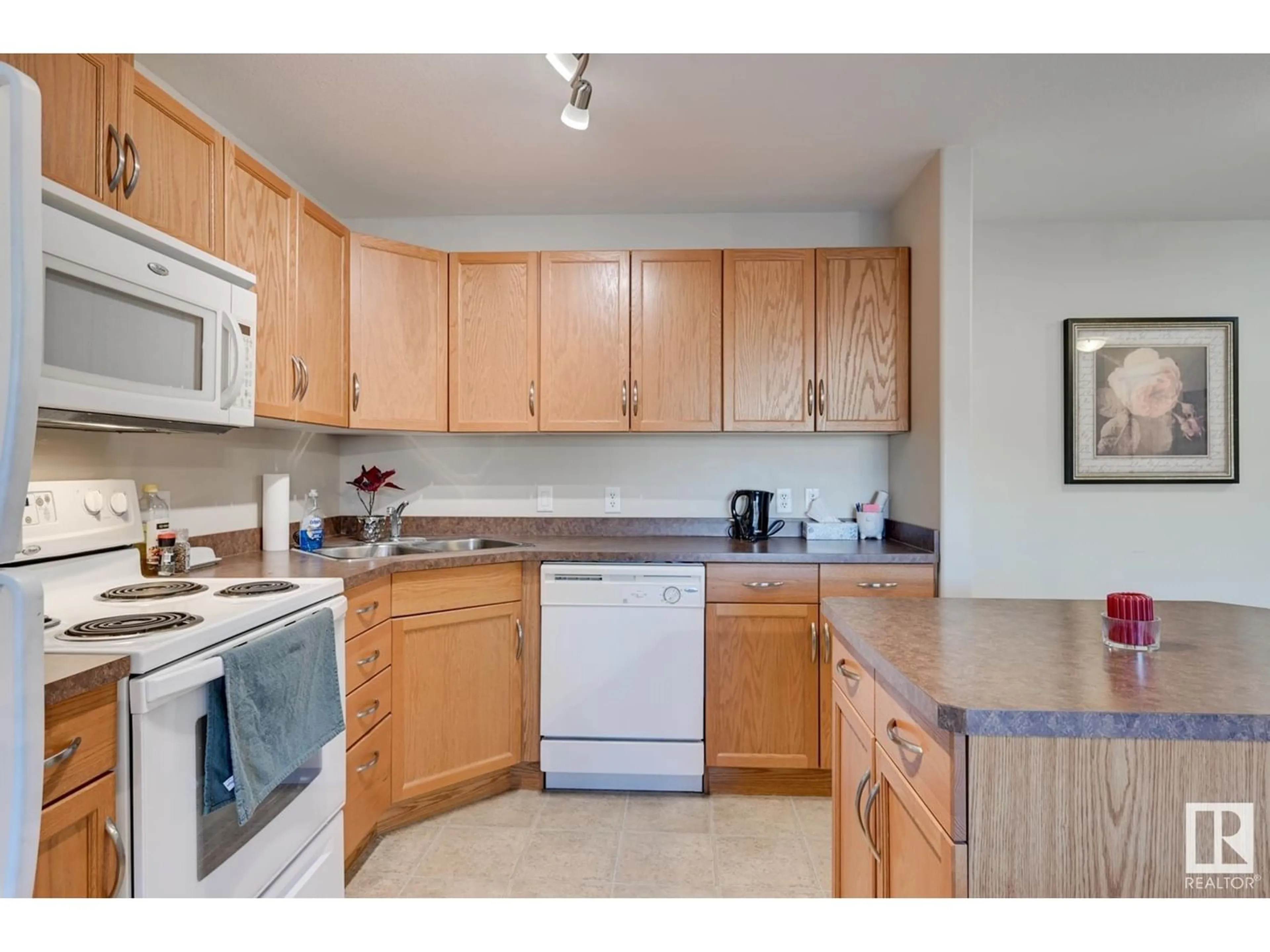 Standard kitchen for #348 2096 BLACKMUD CREEK DR SW, Edmonton Alberta T6W0G1