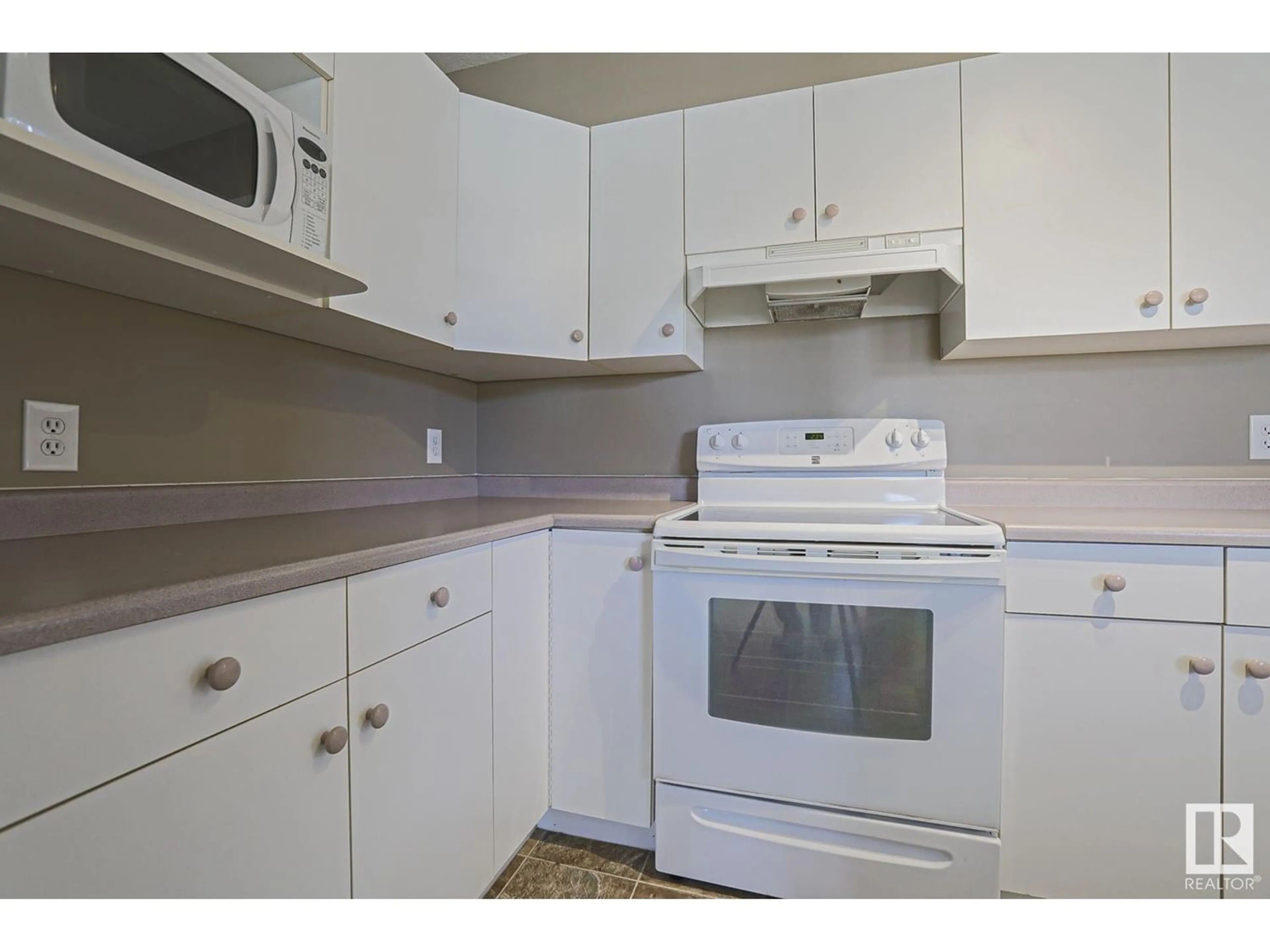 Standard kitchen for #204 11316 103 AV NW NW, Edmonton Alberta T5K0S2