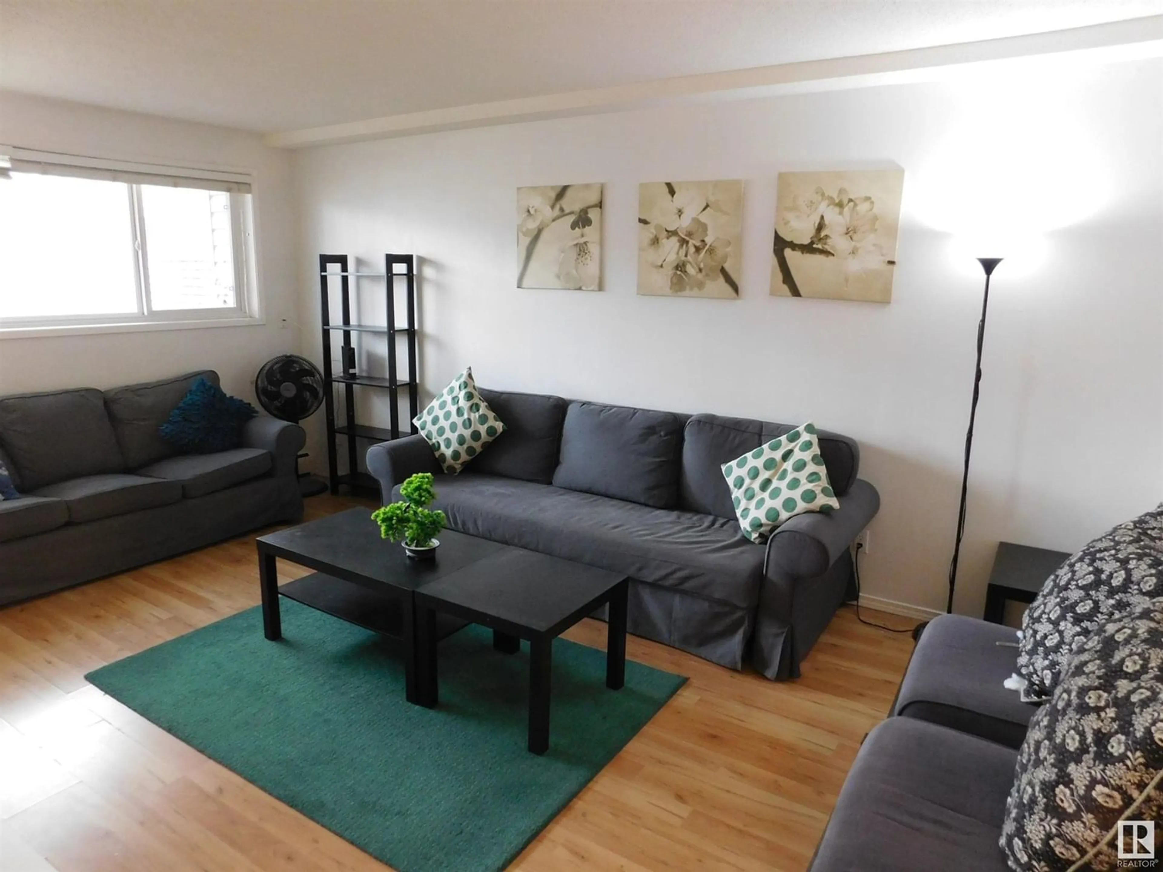 Living room for #101 10815 83 AV NW NW, Edmonton Alberta T6E2E6