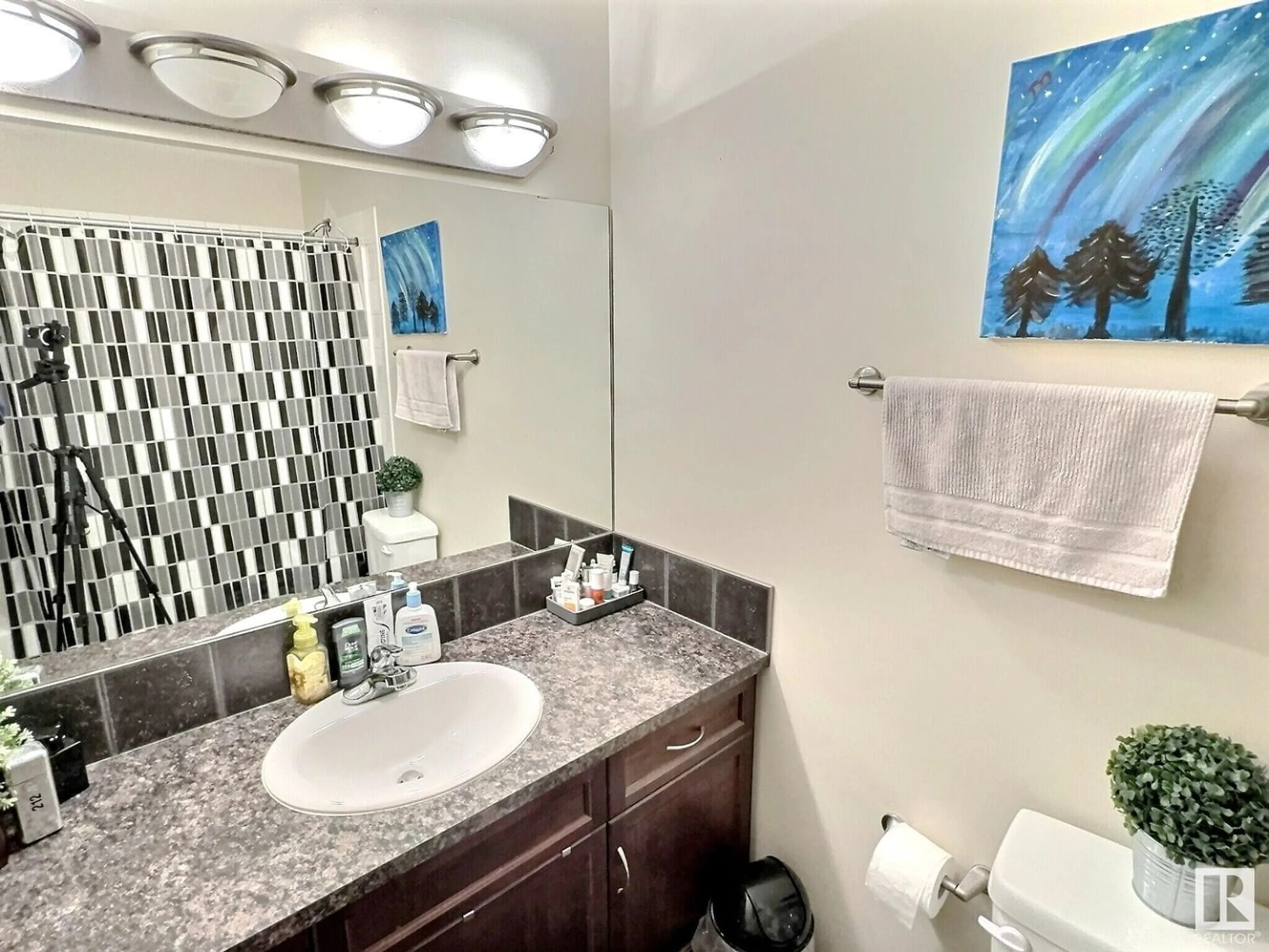Standard bathroom for #201 9927 79 AV NW, Edmonton Alberta T6E1R3