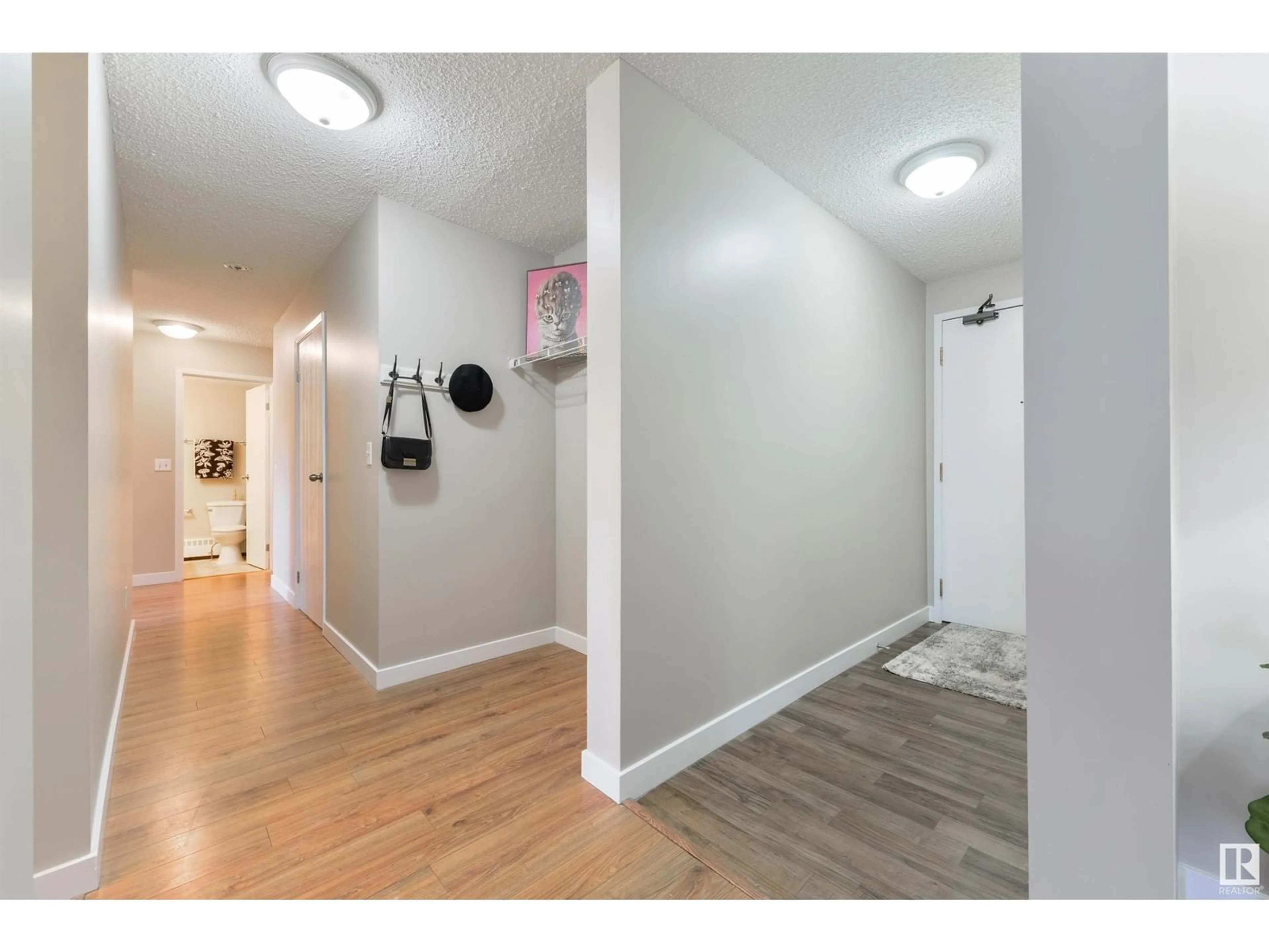 Indoor entryway for #208 9312 104 AV NW, Edmonton Alberta T5H4G7