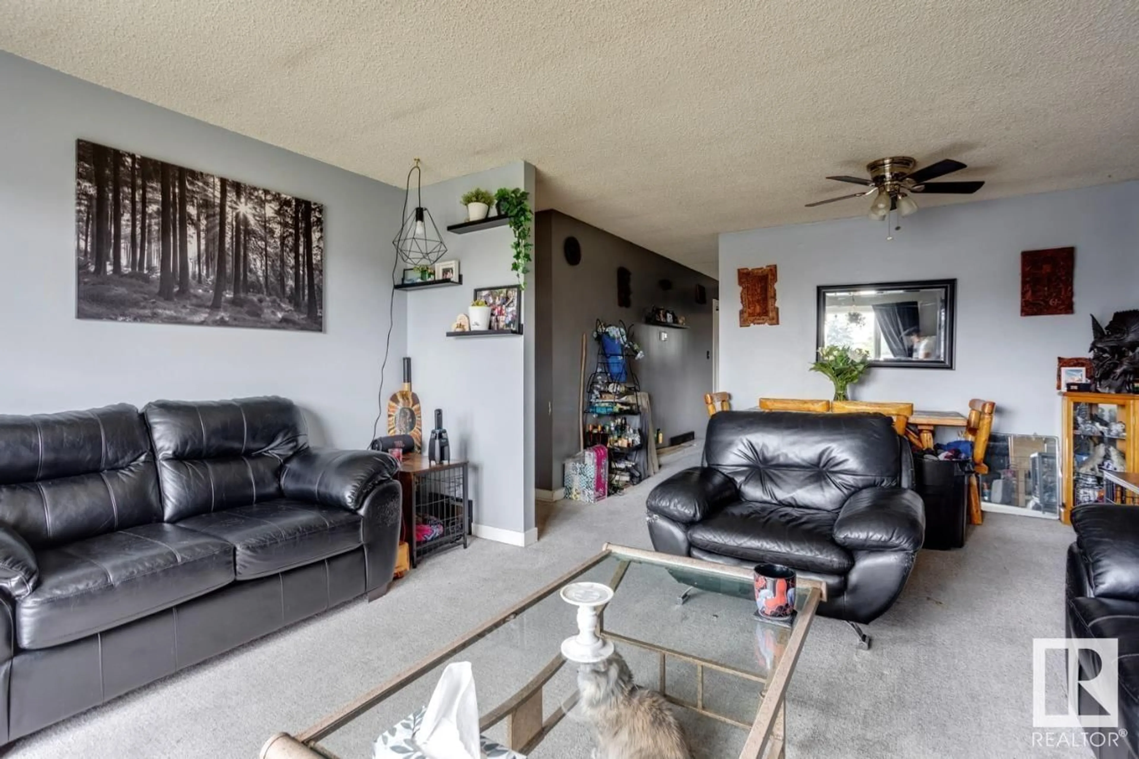 Living room, cement floor for 14528 34 ST NW, Edmonton Alberta T5Y2J2