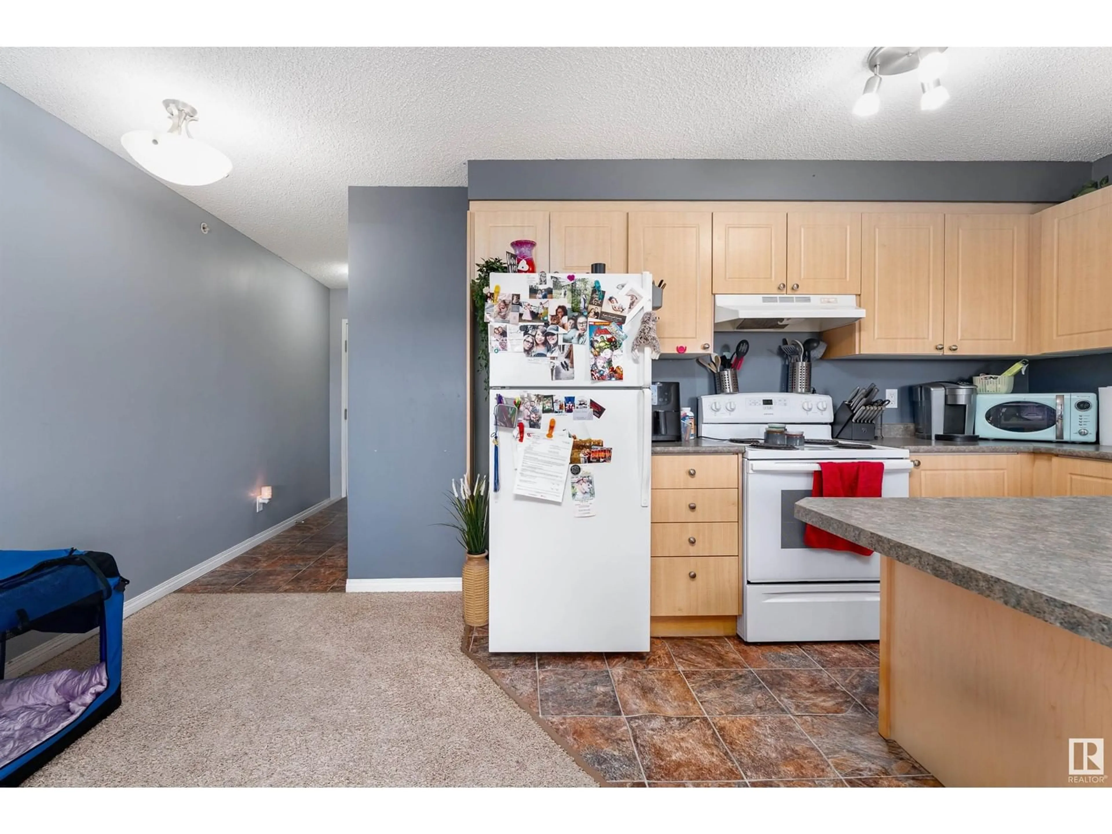 Standard kitchen for #407 630 MCALLISTER LO SW, Edmonton Alberta T6W1N3