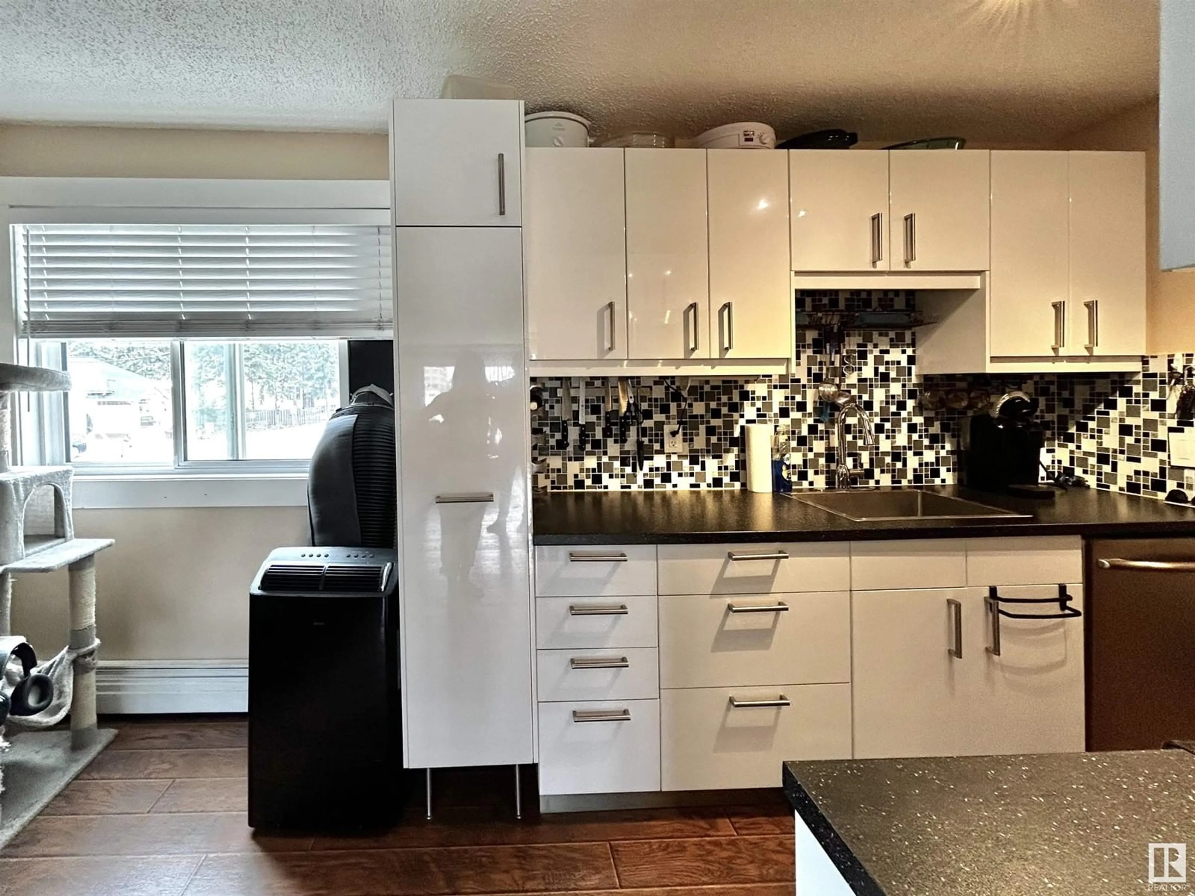 Kitchen for #202 10434 125 ST NW, Edmonton Alberta T5N1T3