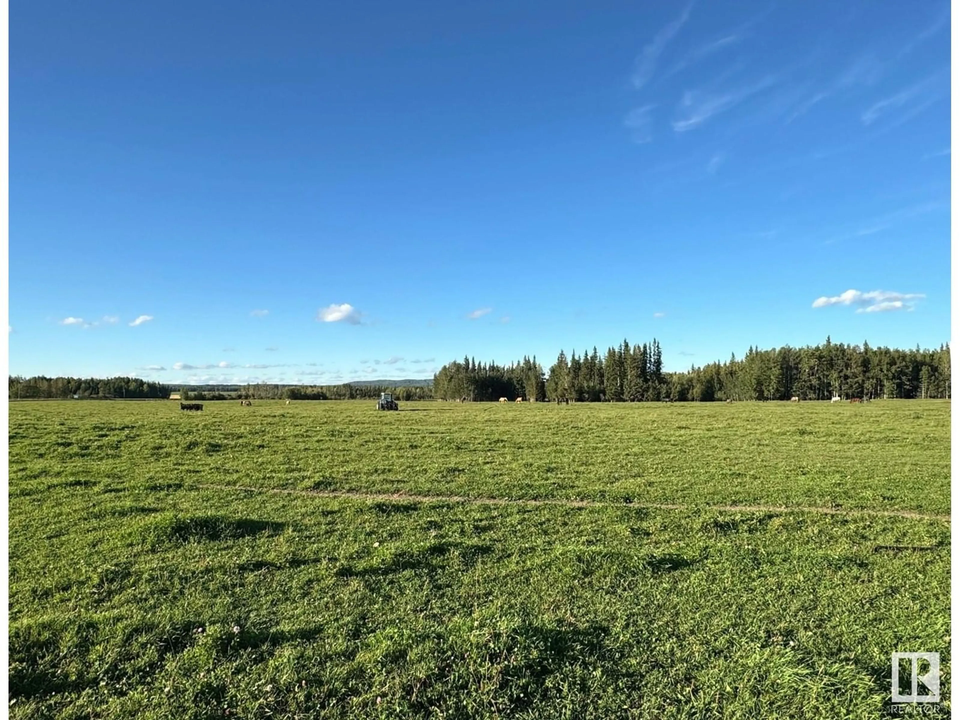 Forest view for 55017 Highway 751, Rural Yellowhead Alberta T0E1S0