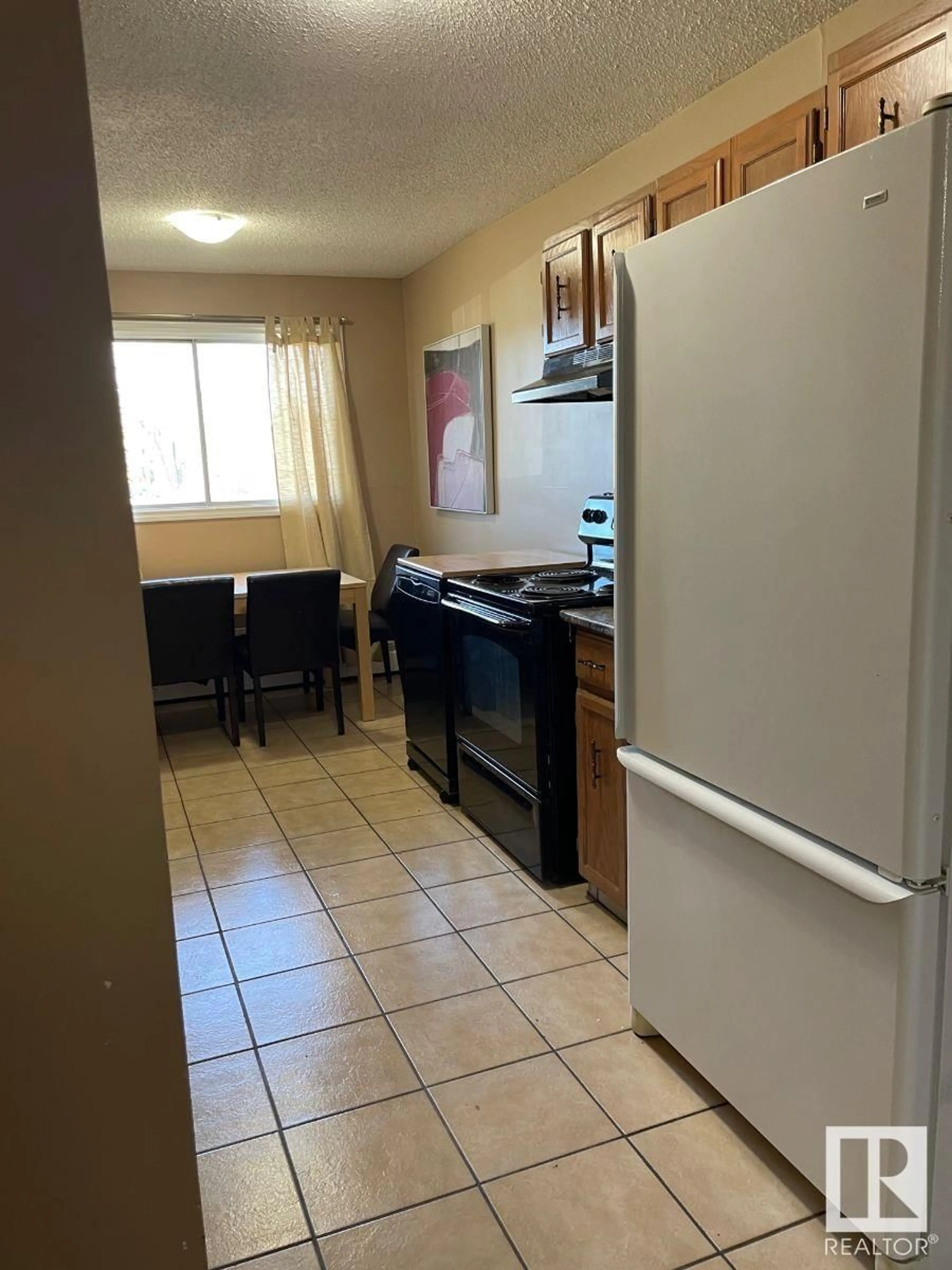 Standard kitchen, unknown floor for #204 10939 109 ST NW, Edmonton Alberta T5H3C2