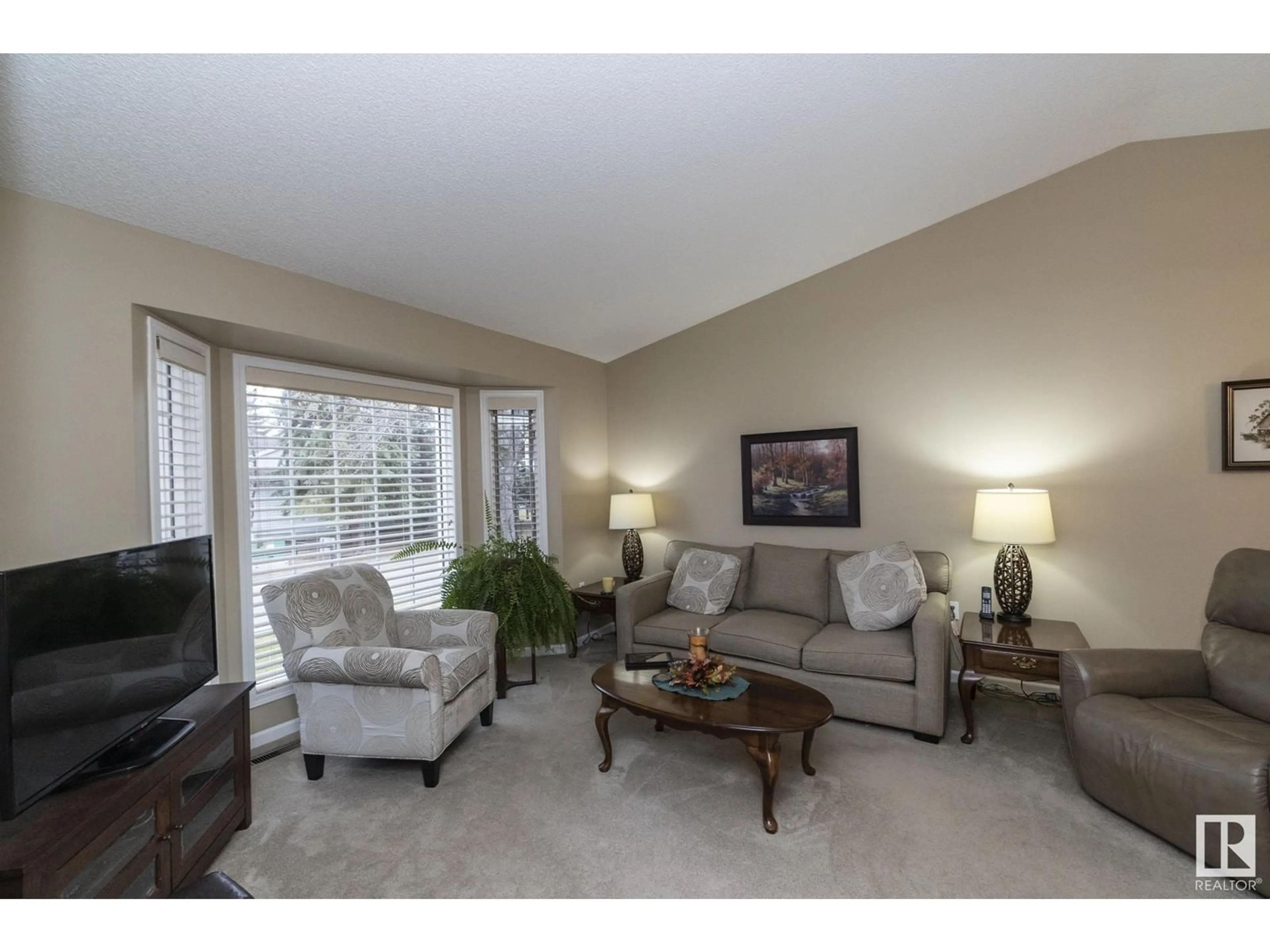 Living room, carpet floors for #2 13217 155 AV NW, Edmonton Alberta T6V1E6