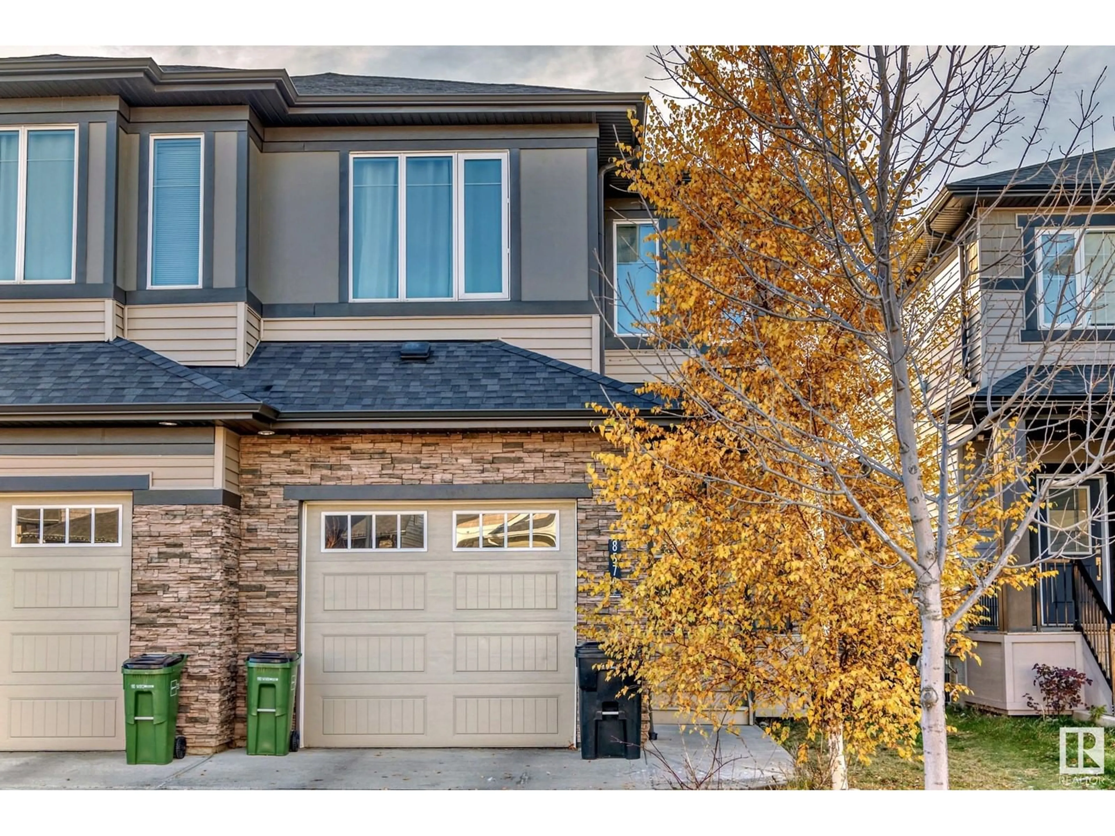 A pic from exterior of the house or condo, the street view for 8570 CUSHING PL SW, Edmonton Alberta T6W3R4