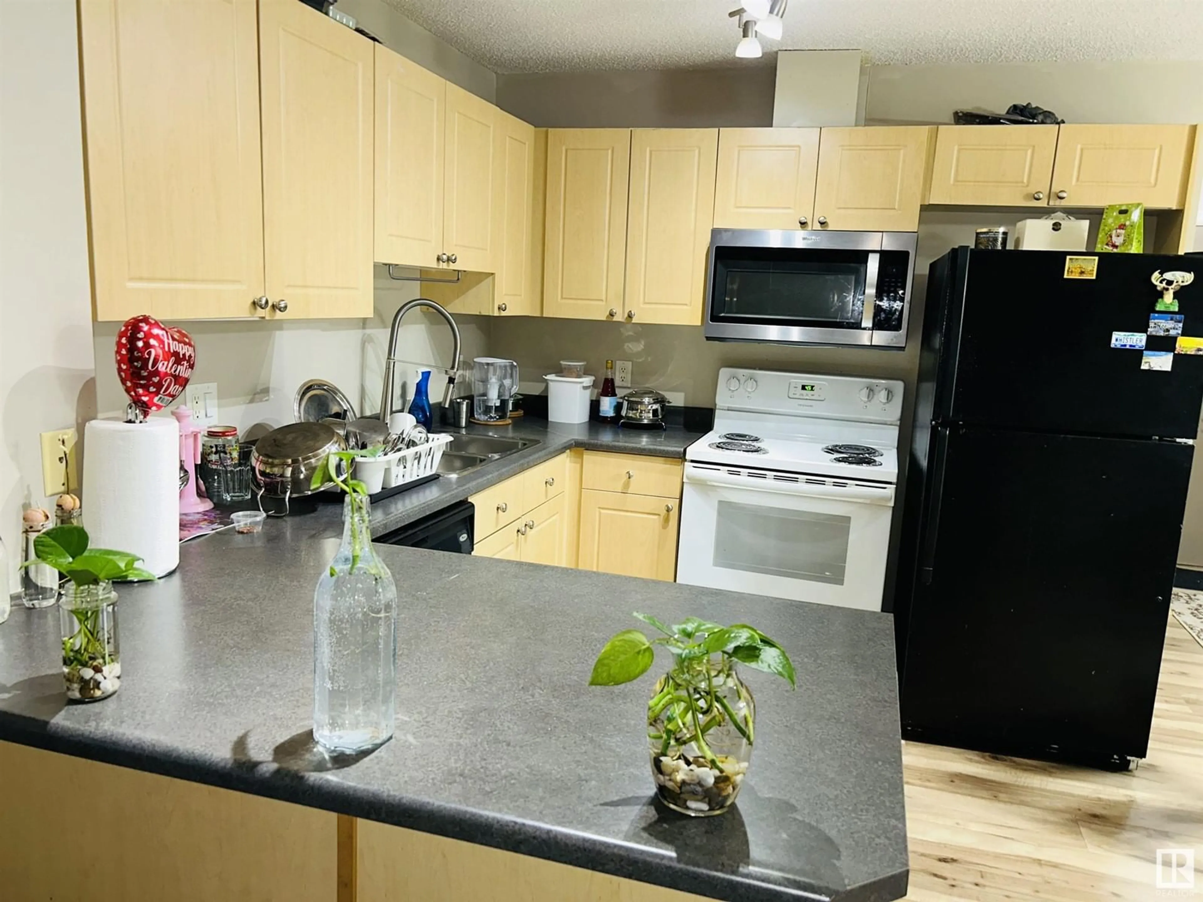 Standard kitchen, unknown for #104 4407 23 ST NW NW, Edmonton Alberta T6T0B6