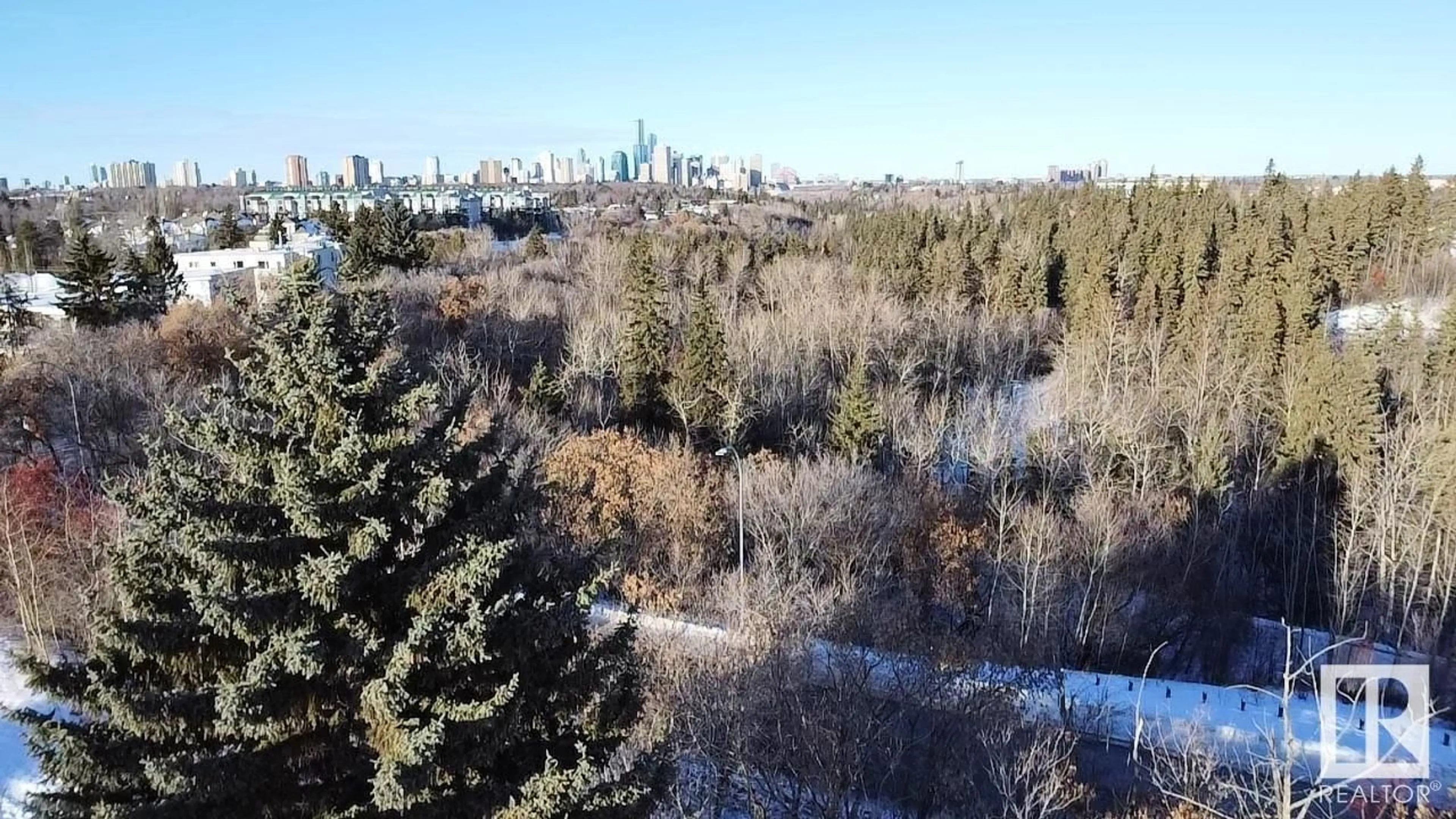 A pic from outside/outdoor area/front of a property/back of a property/a pic from drone, forest/trees view for 9335 76 AV NW, Edmonton Alberta T6C0J8