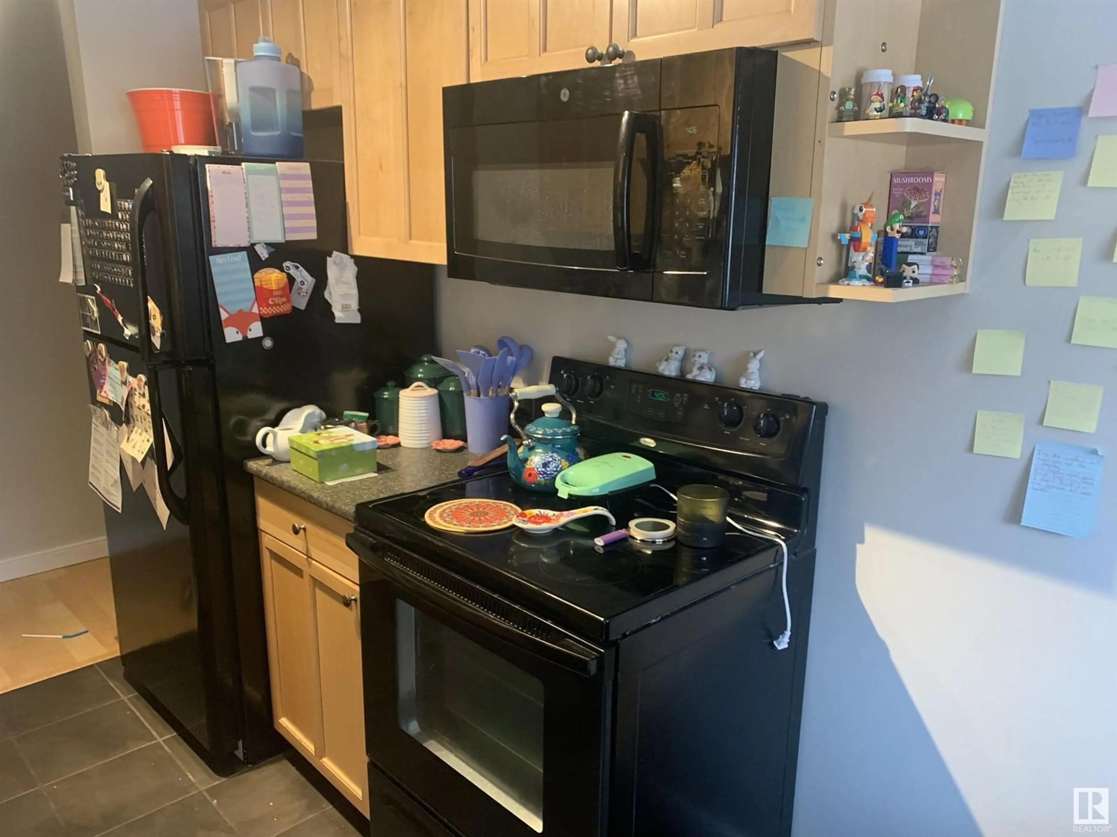 Standard kitchen, unknown for #302 - 10145 113 ST, Edmonton Alberta T5K1P1