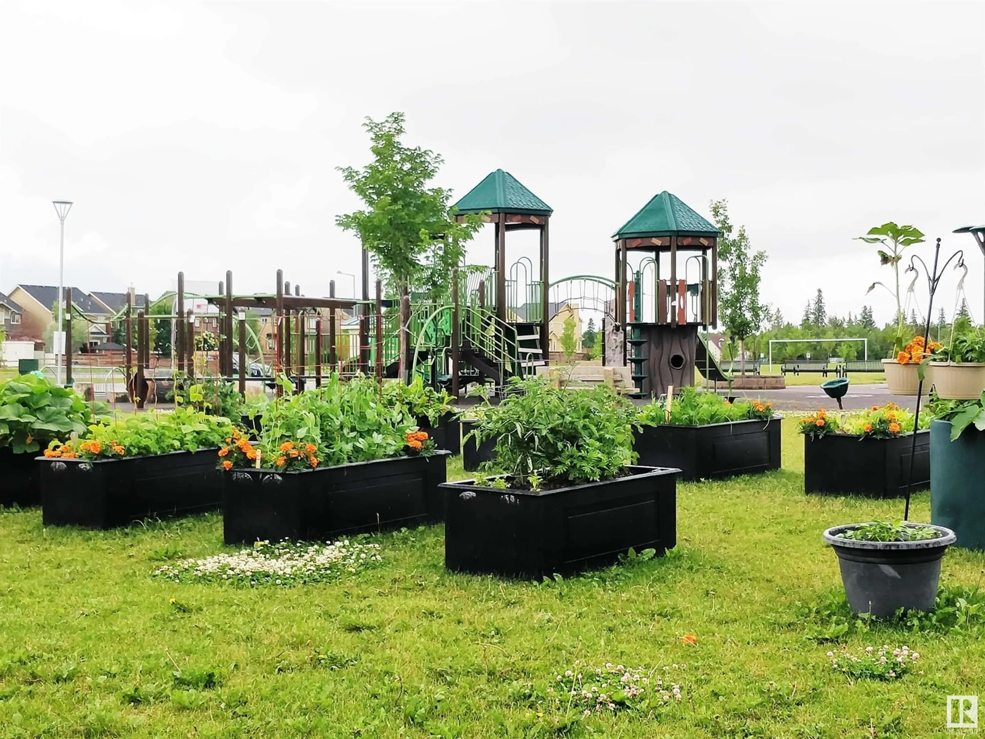 Patio, mountain view for #34 - 3090 CAMERON HEIGHTS WY, Edmonton Alberta T6M0C9