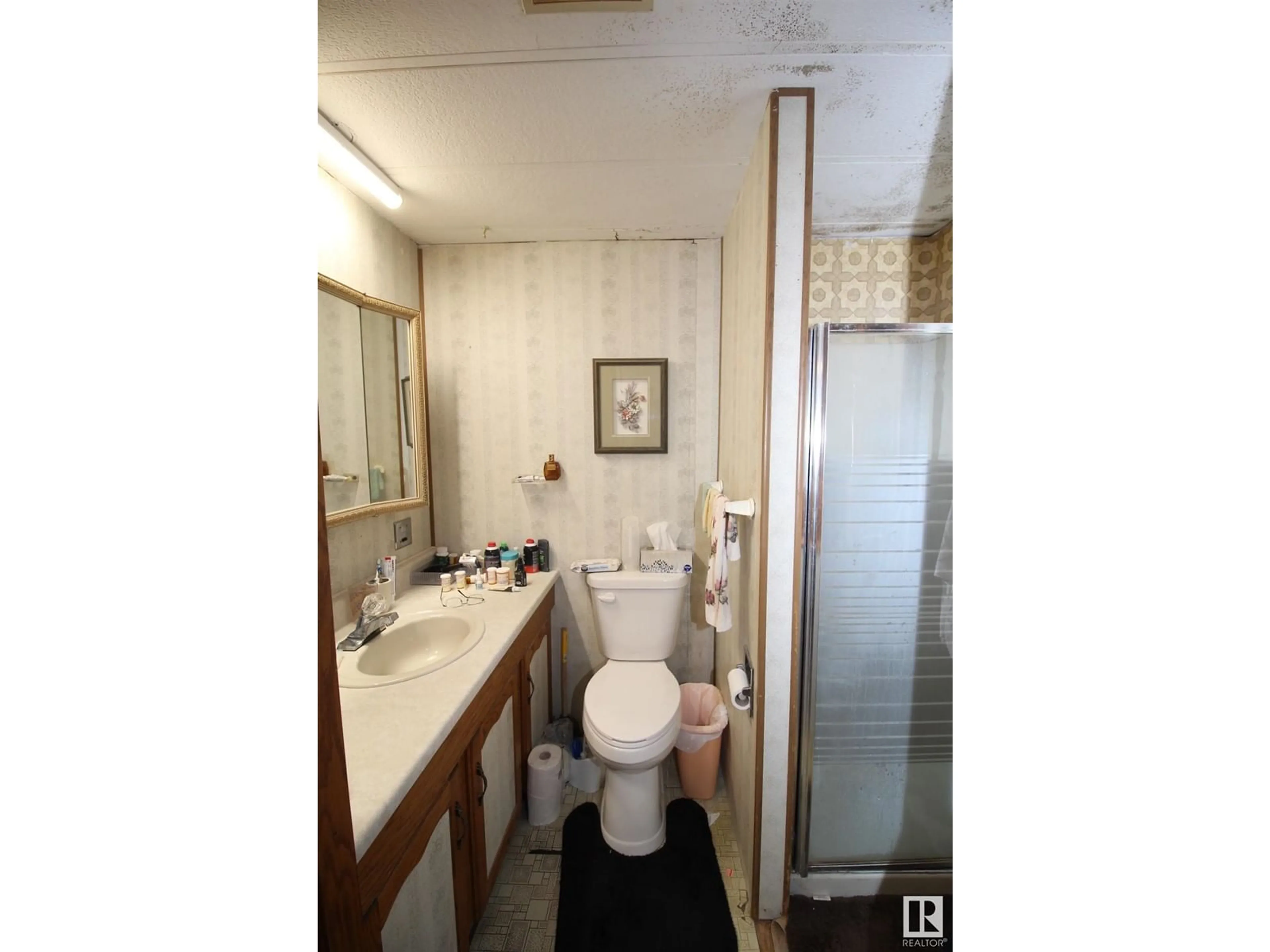 Standard bathroom, floor is not visible for 5104 50 ST, Vimy Alberta T0G2J0