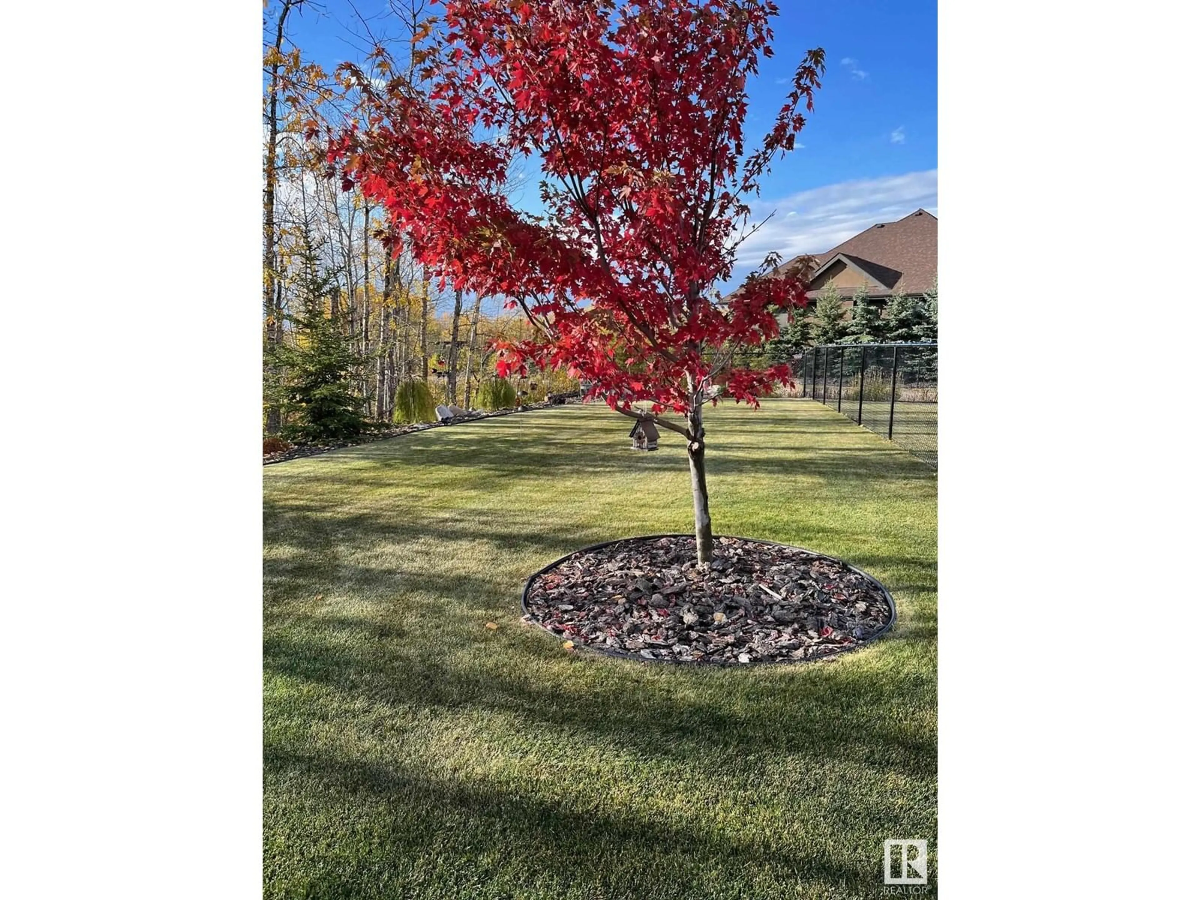 Patio, forest/trees view for 284 52367 RGE ROAD 223, Rural Strathcona County Alberta T8C1H8