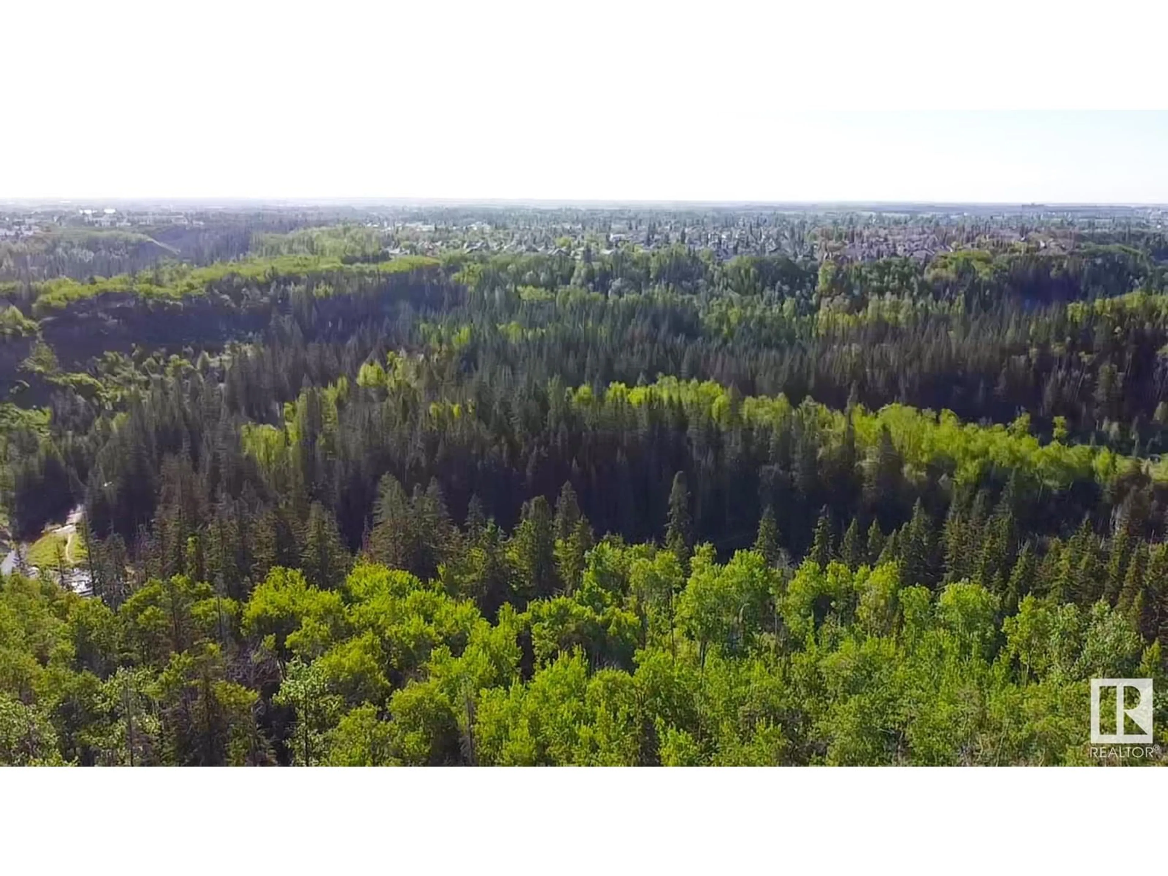 A pic from outside/outdoor area/front of a property/back of a property/a pic from drone, forest/trees view for 7812 MAY LI NW, Edmonton Alberta T6R0G9