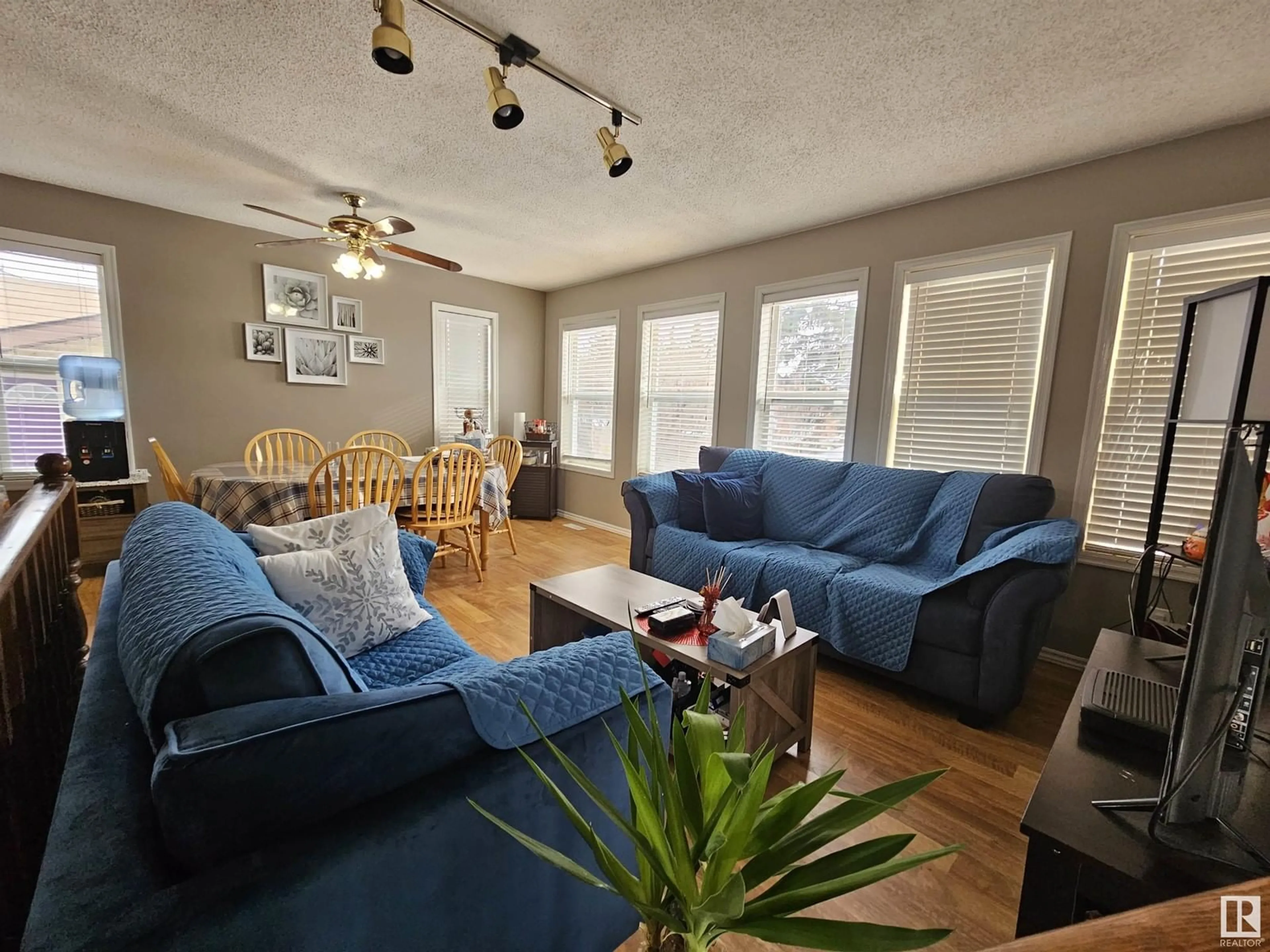 Living room with furniture, wood/laminate floor for 4103 18 AV, Edmonton Alberta T6L3M3