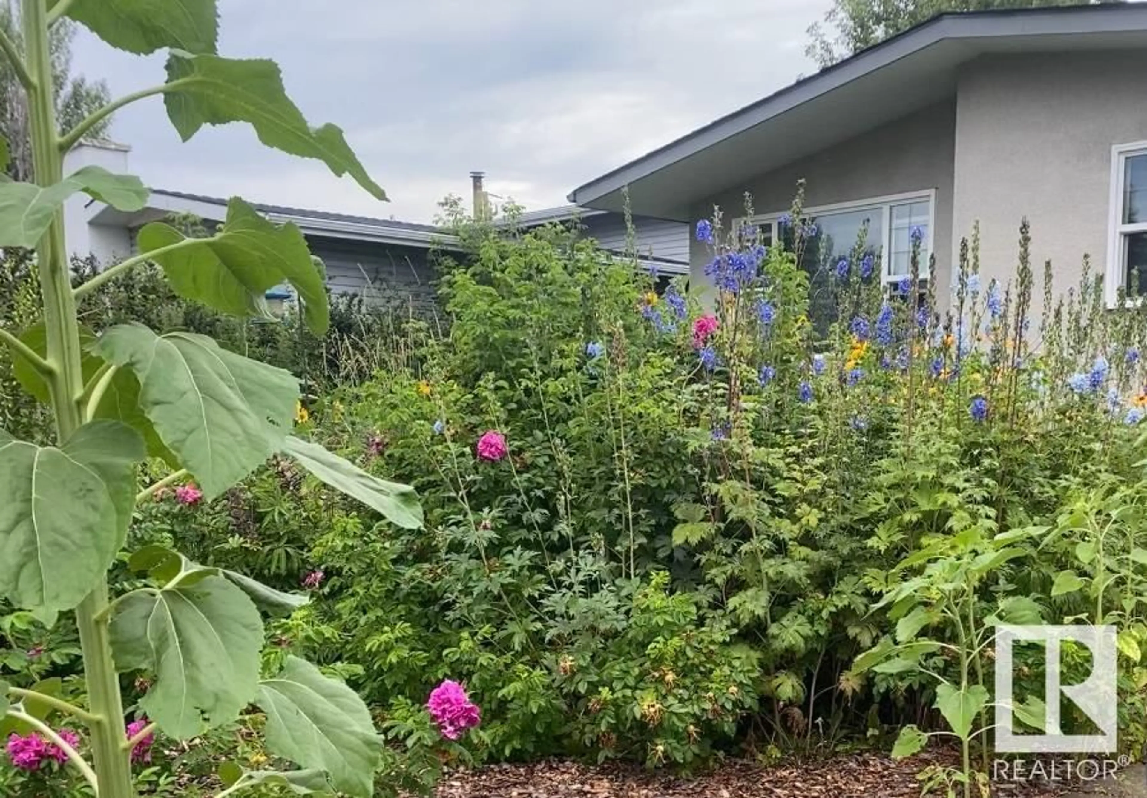 A pic from outside/outdoor area/front of a property/back of a property/a pic from drone, unknown for 5007 55 AV, Stony Plain Alberta T7Z1B5