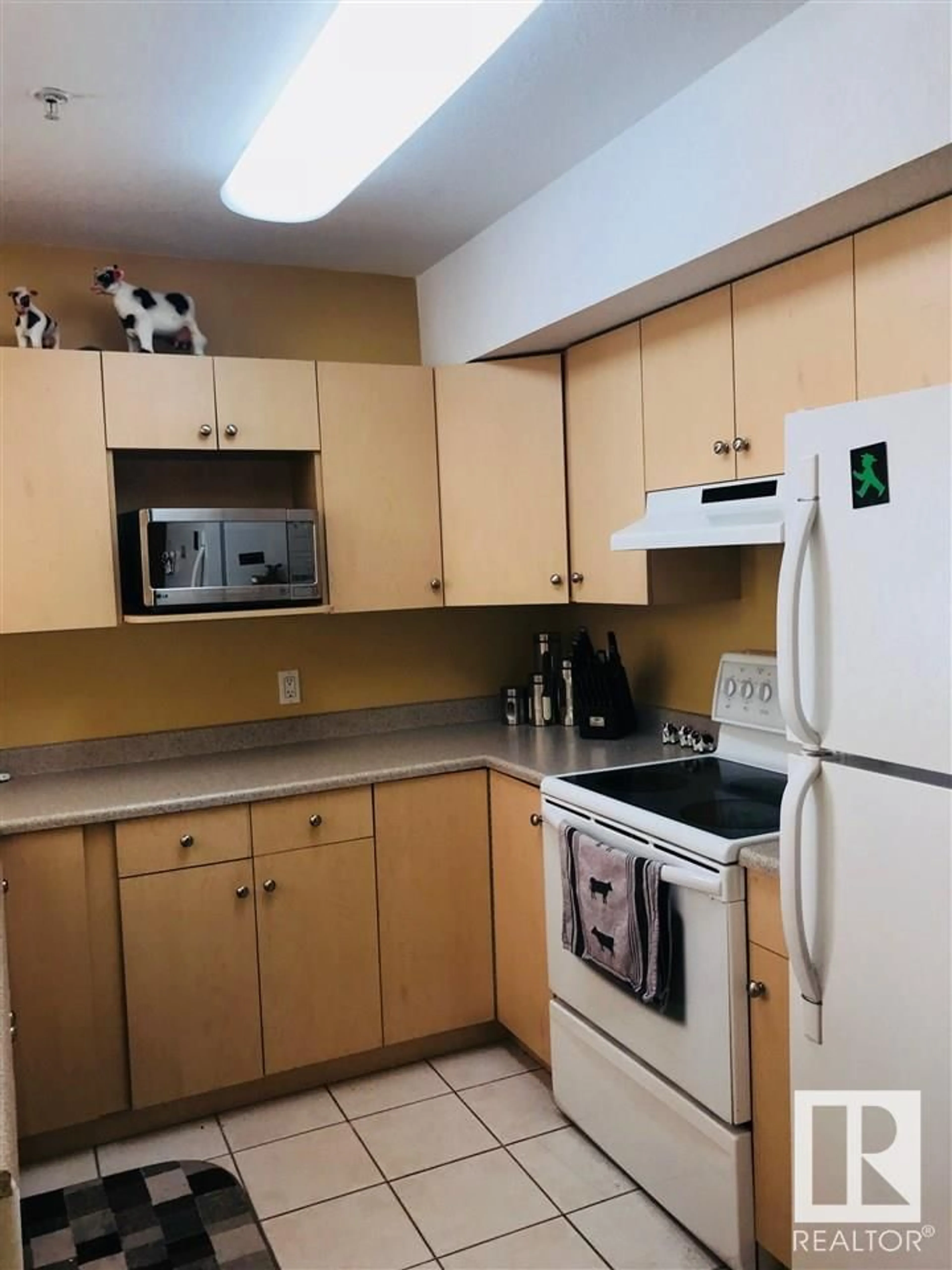 Standard kitchen, floor is not visible for #101 - 11408 108 AV, Edmonton Alberta T5H4R5