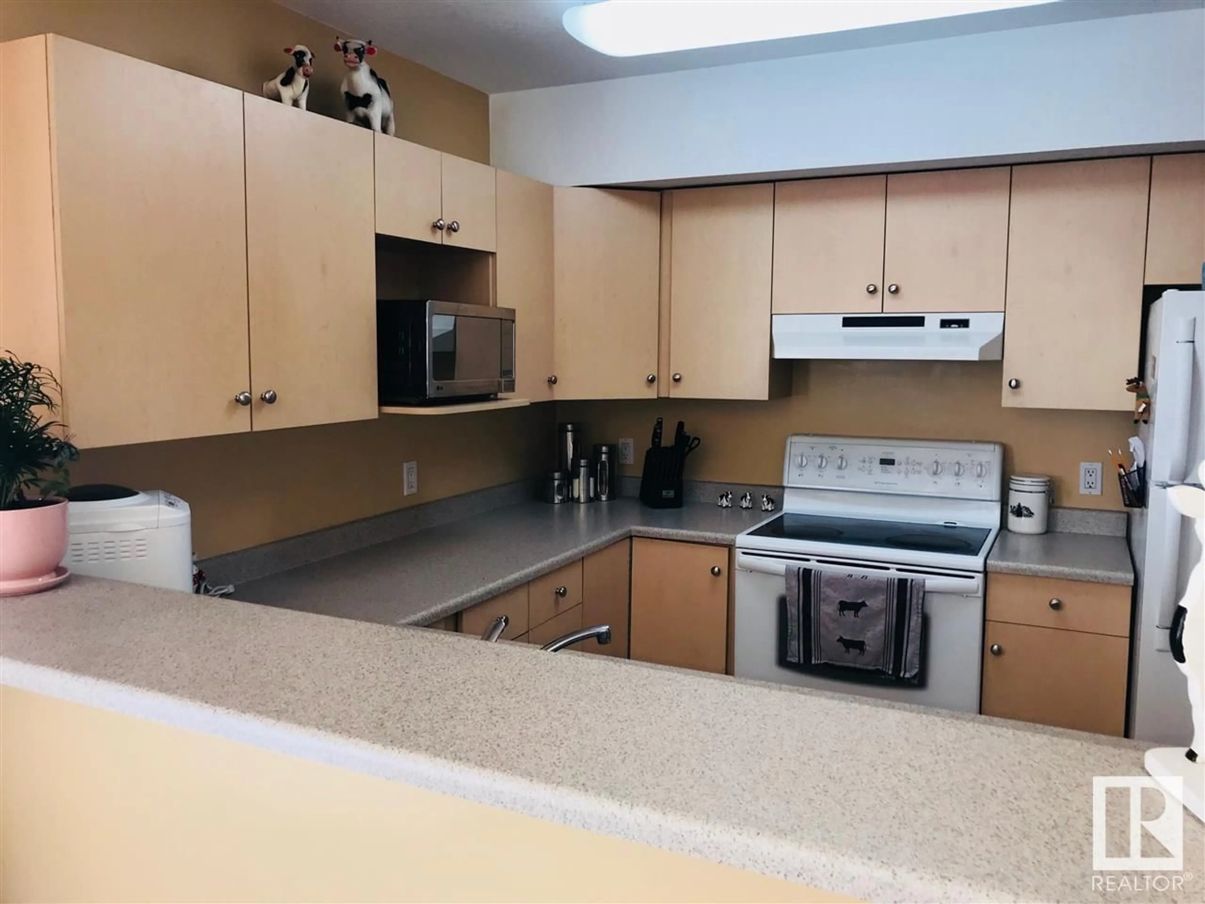 Standard kitchen, unknown for #101 - 11408 108 AV, Edmonton Alberta T5H4R5