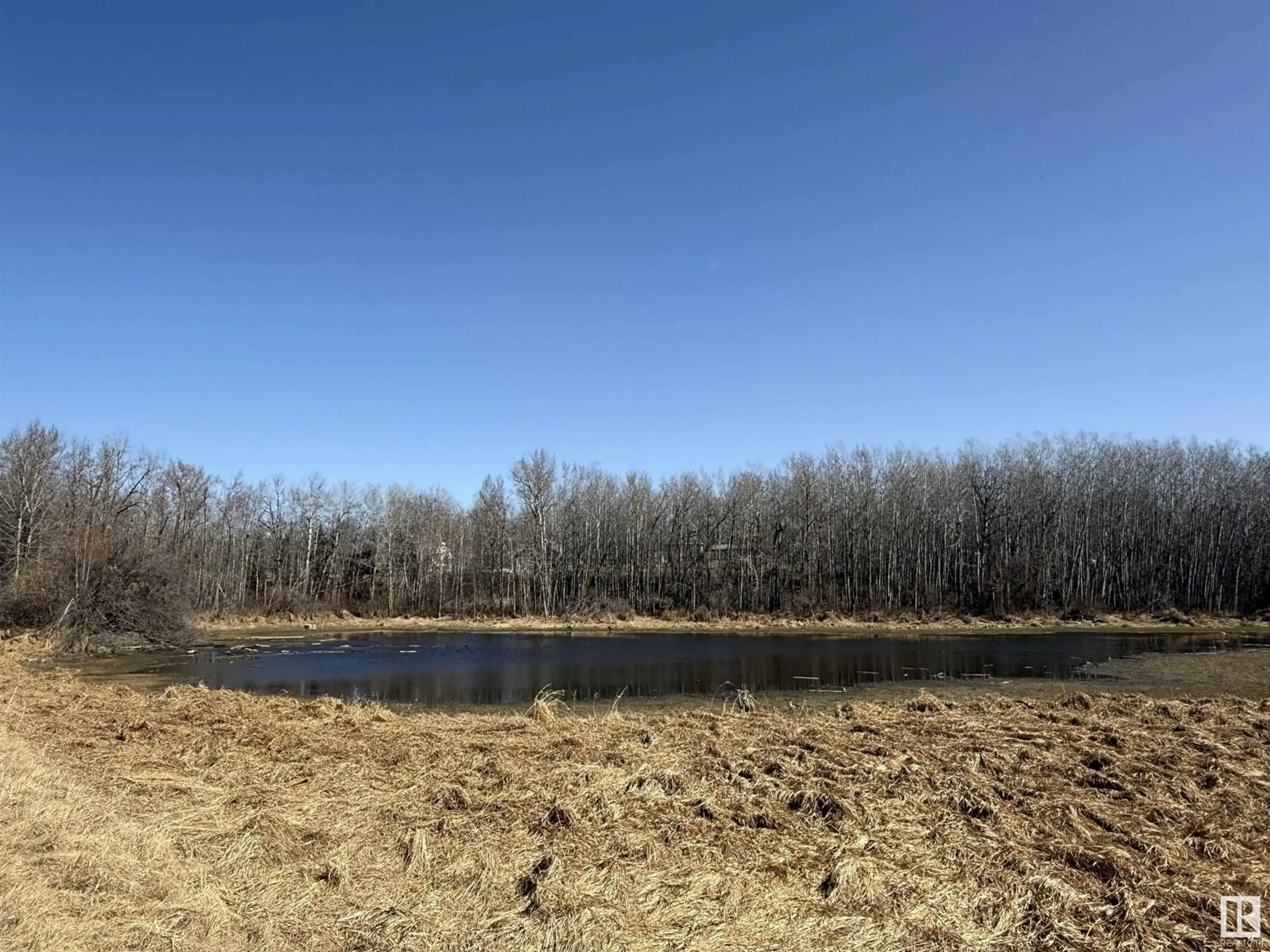 Blurry image for 49551 RANGE ROAD 202, Rural Camrose County Alberta T0B2M1