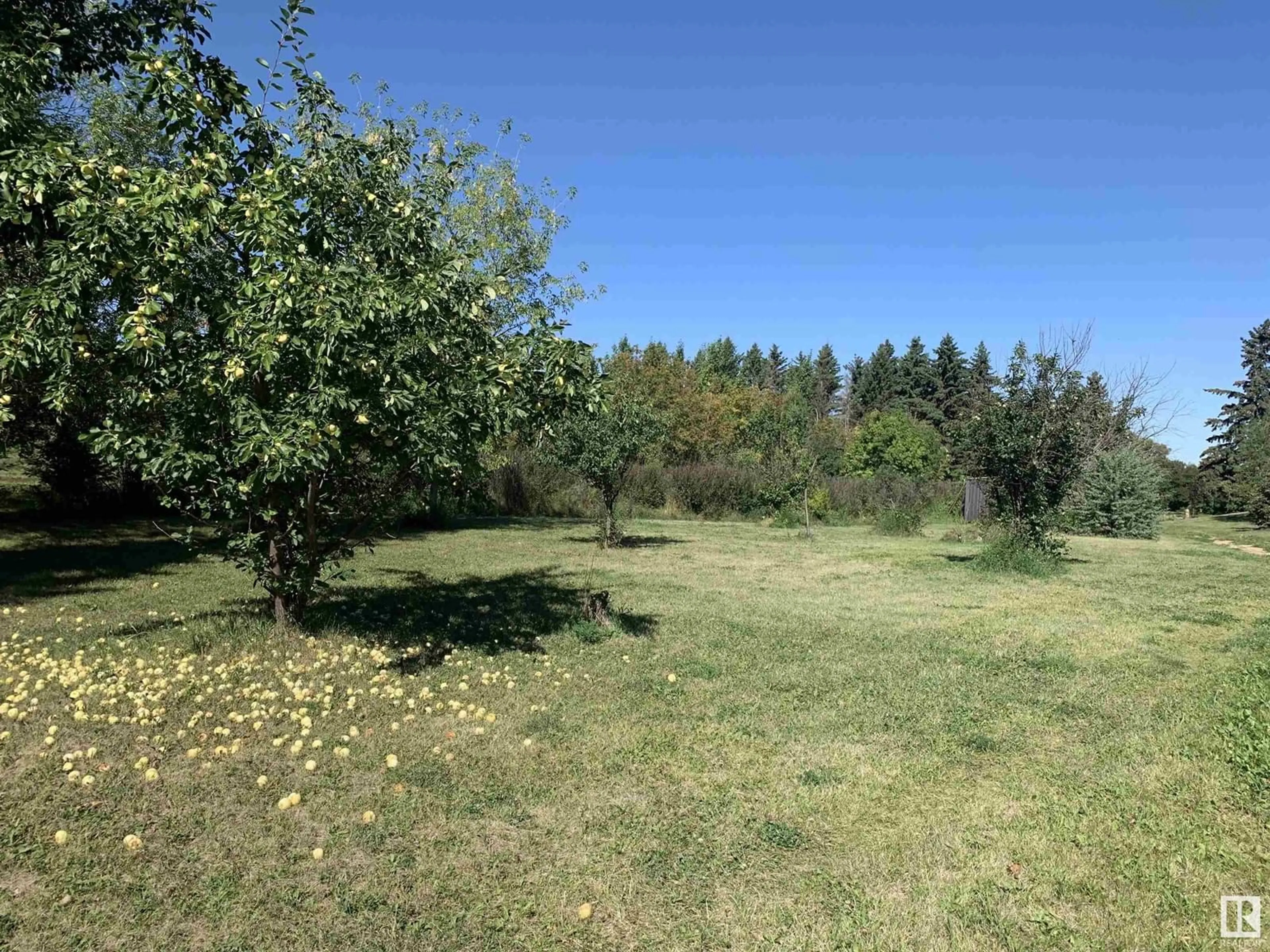 A pic from outside/outdoor area/front of a property/back of a property/a pic from drone, forest/trees view for 56103A RR 250, Rural Sturgeon County Alberta T8R1P4