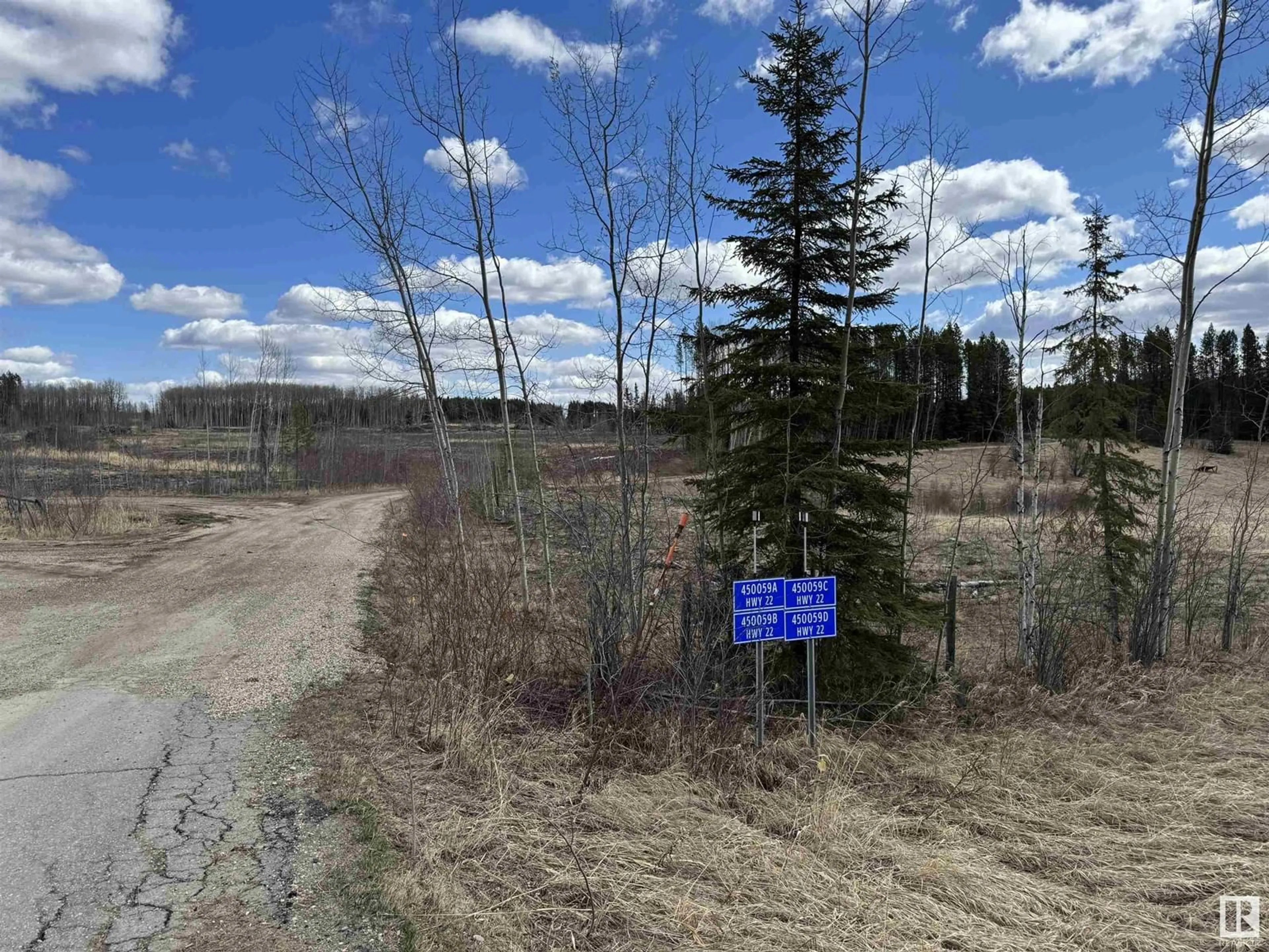 A pic from outside/outdoor area/front of a property/back of a property/a pic from drone, forest/trees view for B,C,D - 450059 HWY 22, Rural Wetaskiwin County Alberta T0C0T0