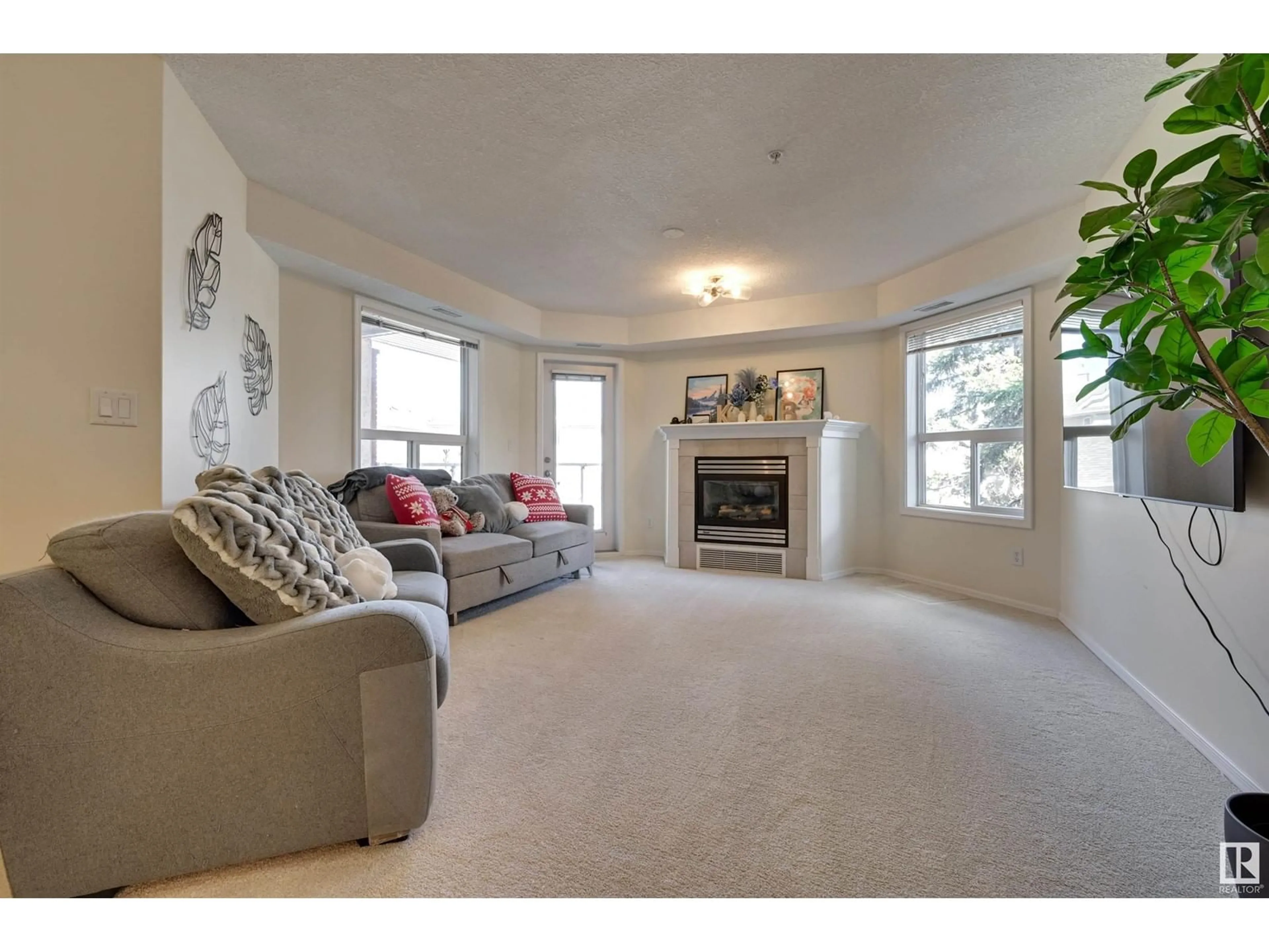 Living room with furniture, carpet floor for #223 - 9008 99 AV, Edmonton Alberta T5H4M6