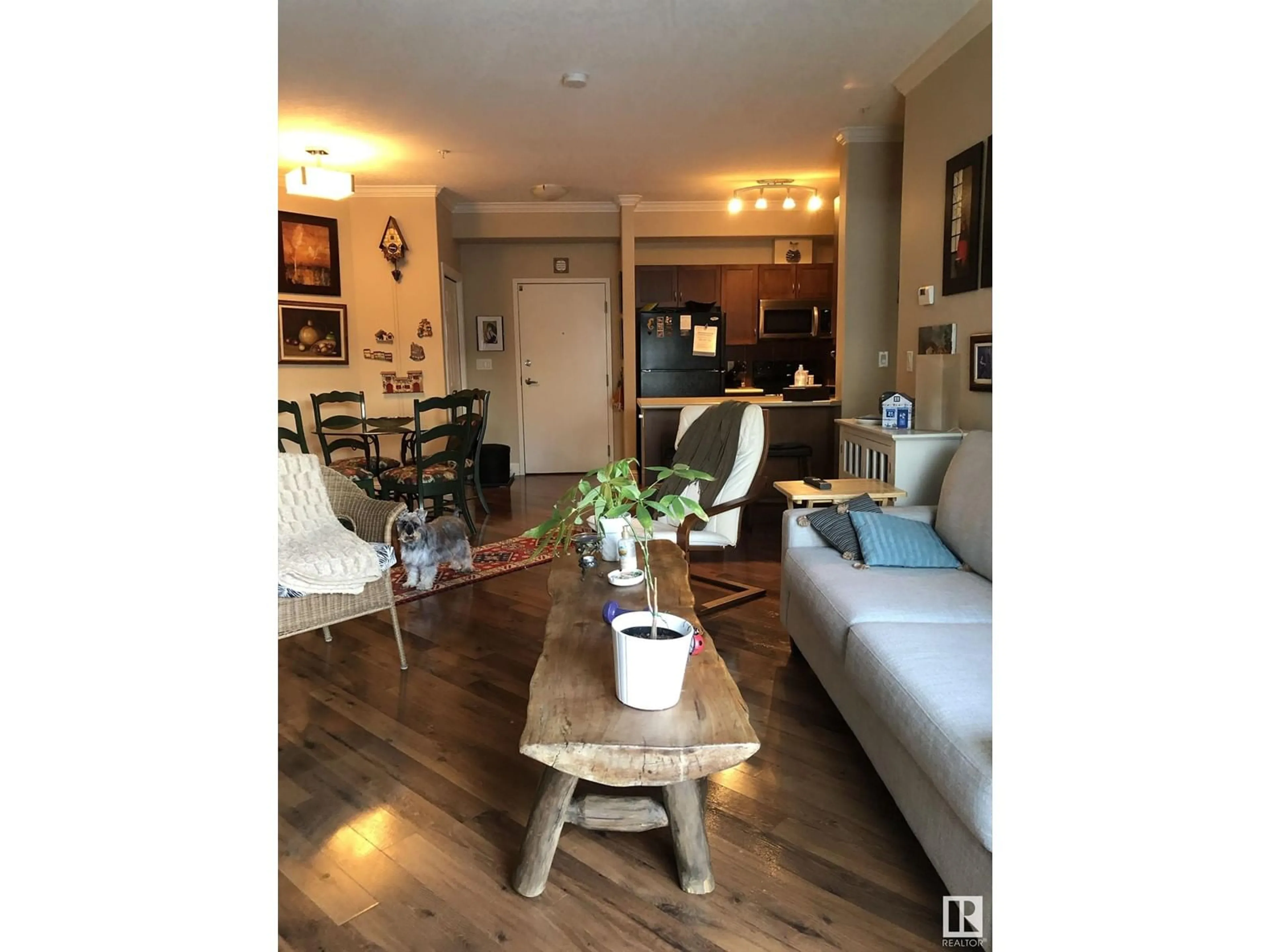 Living room with furniture, wood/laminate floor for #111 - 14604 125 ST, Edmonton Alberta T5X0B4