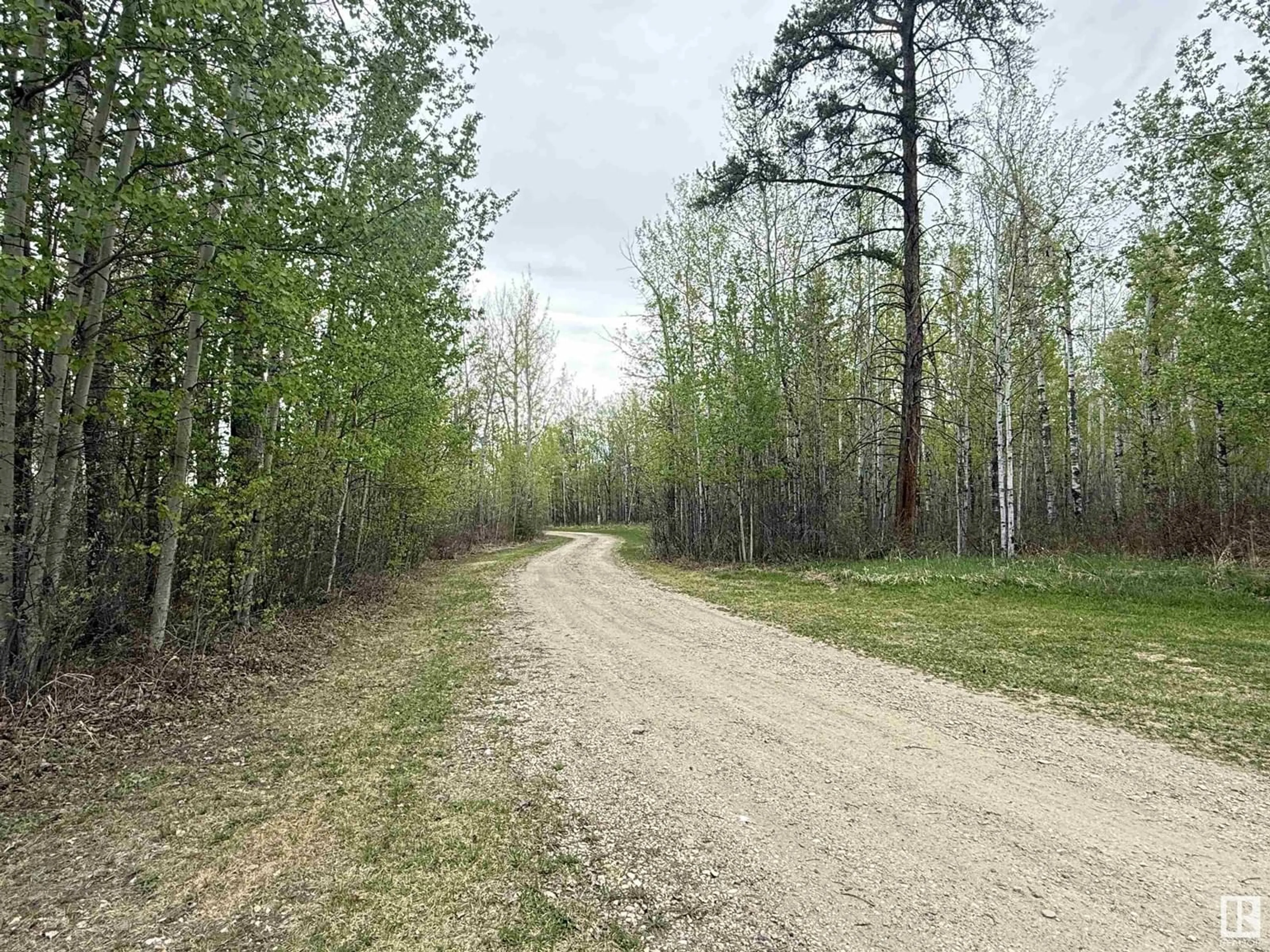 A pic from outside/outdoor area/front of a property/back of a property/a pic from drone, forest/trees view for 50527 RANGE ROAD 53, Rural Parkland County Alberta T0E2H0