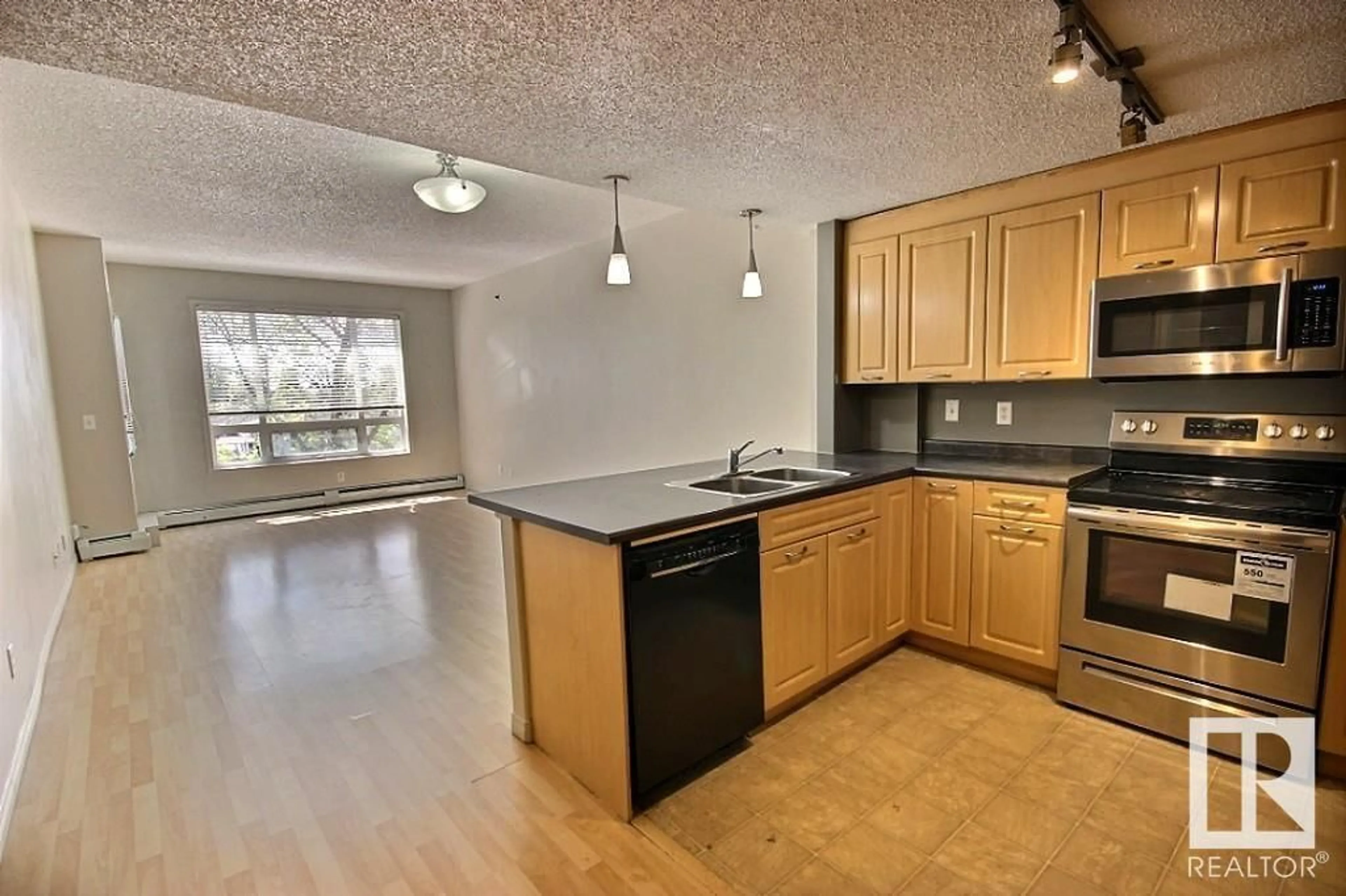 Standard kitchen, unknown for #208 - 6220 134 AV NW, Edmonton Alberta T6A0A8