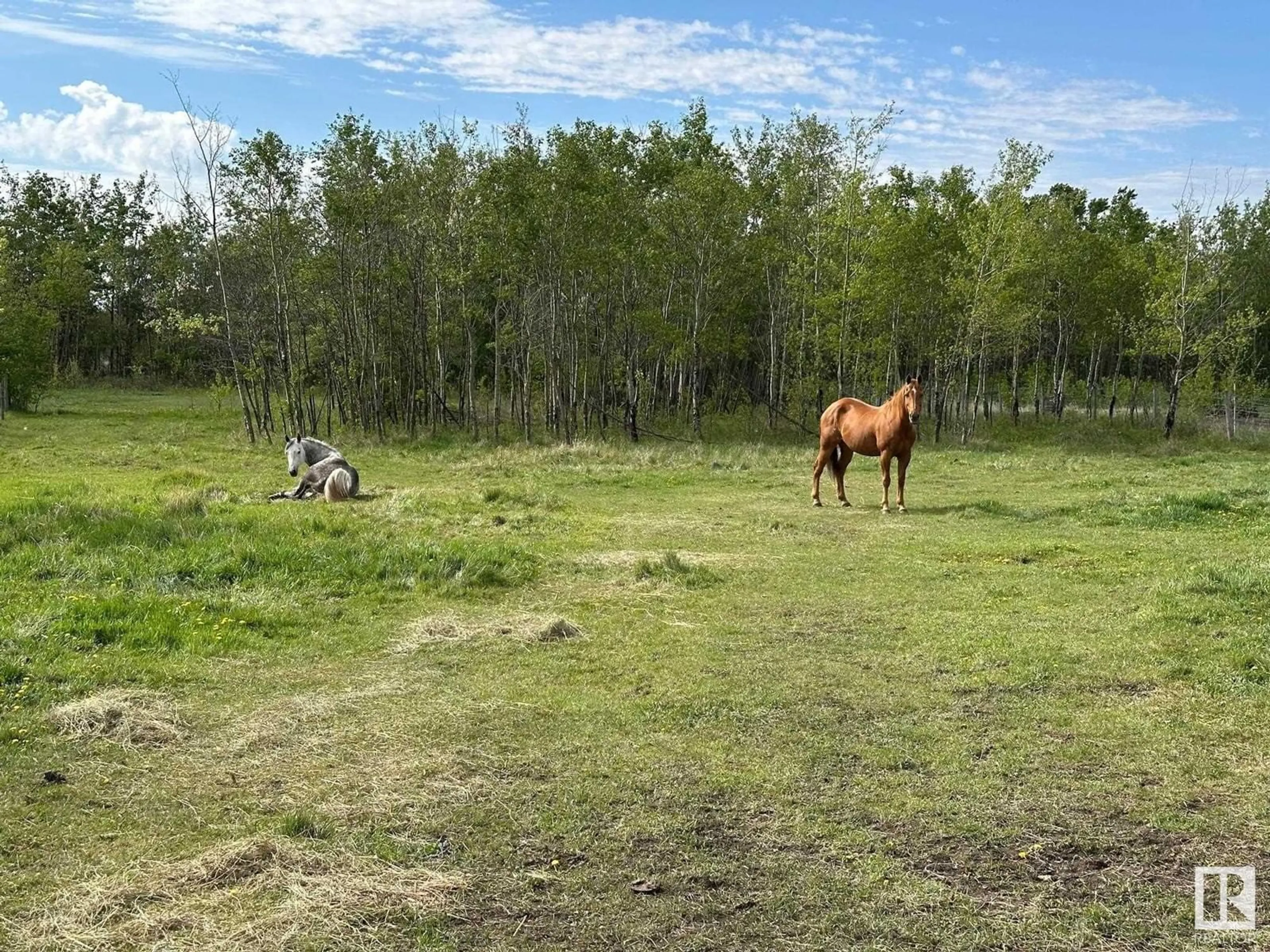 A pic from outside/outdoor area/front of a property/back of a property/a pic from drone, forest/trees view for 532042 RR 184, Rural Lamont County Alberta T0B4J0