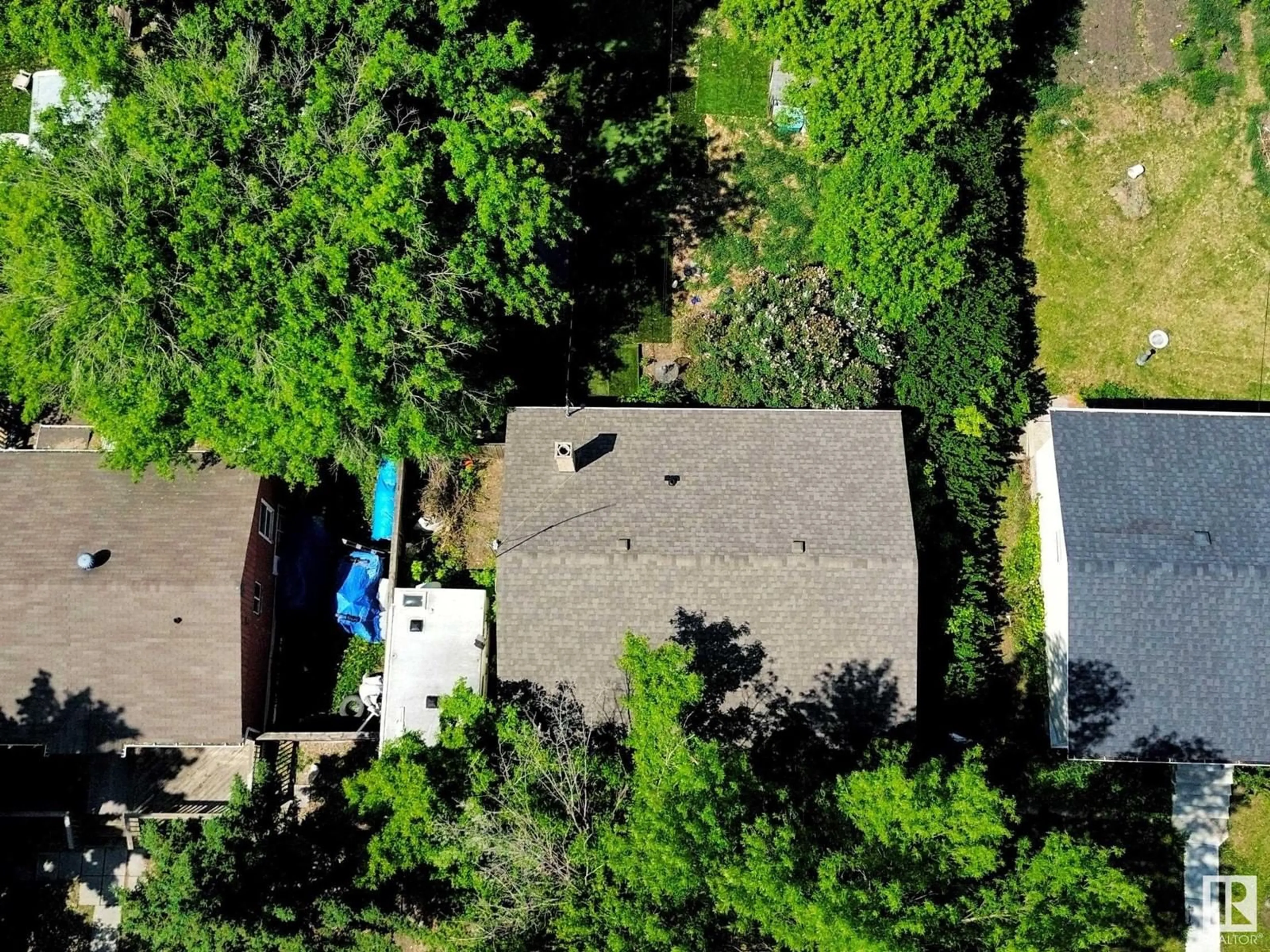A pic from outside/outdoor area/front of a property/back of a property/a pic from drone, forest/trees view for NW - 9242 150 ST, Edmonton Alberta T5R1G3