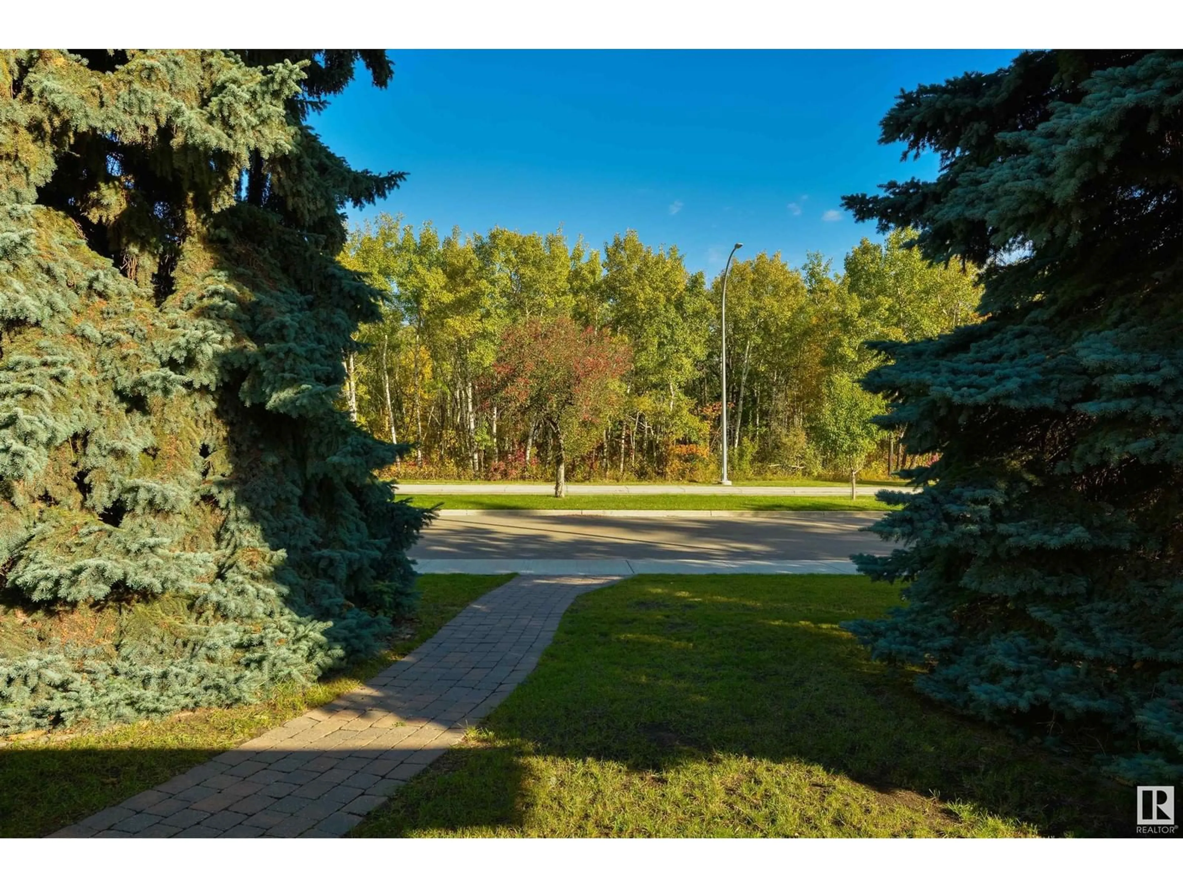 A pic from outside/outdoor area/front of a property/back of a property/a pic from drone, forest/trees view for NW - 14007 53 AV, Edmonton Alberta T6H0S9