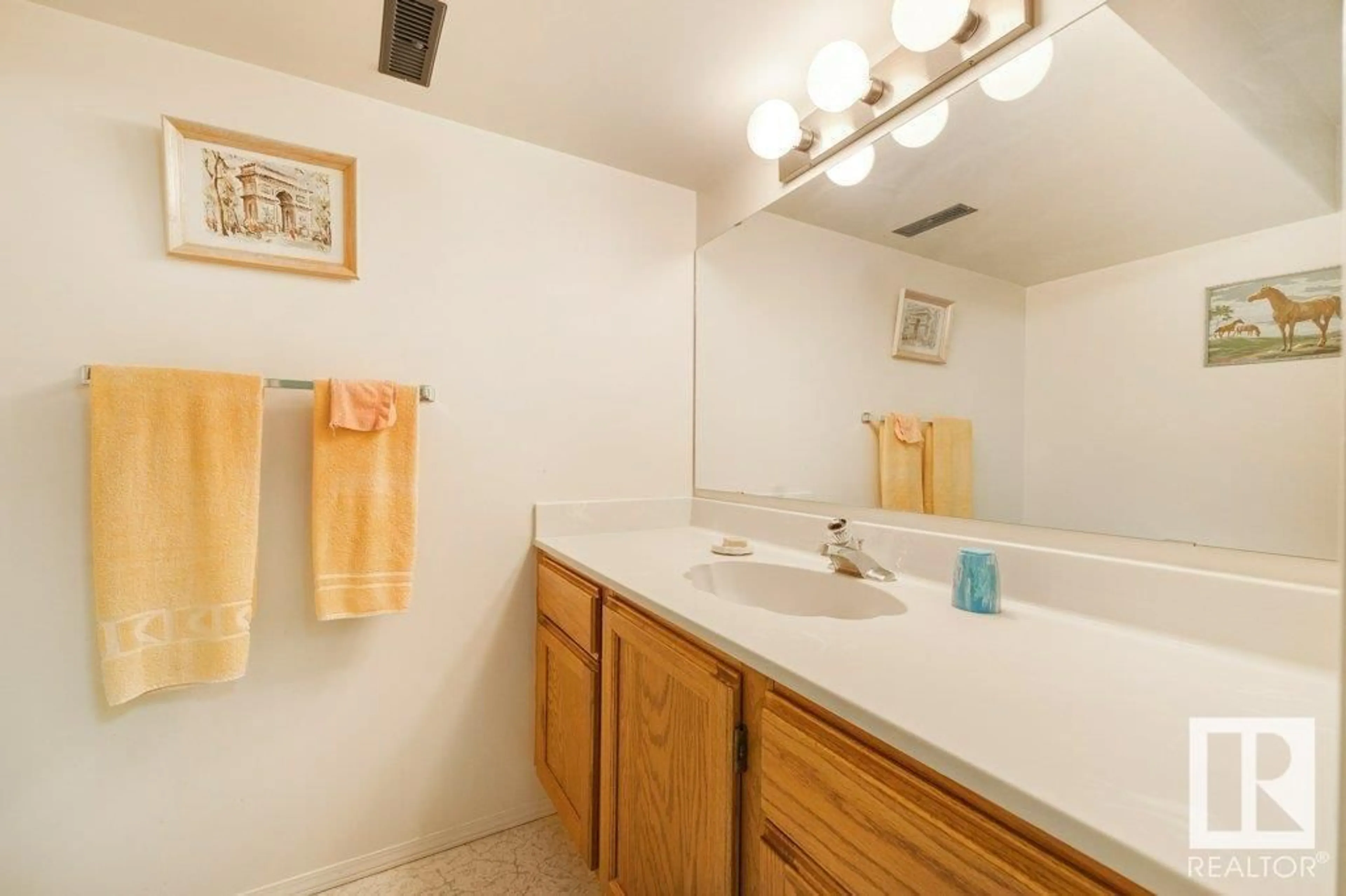 Standard bathroom, ceramic/tile floor for 292 RHATIGAN RD W, Edmonton Alberta T6R1C6