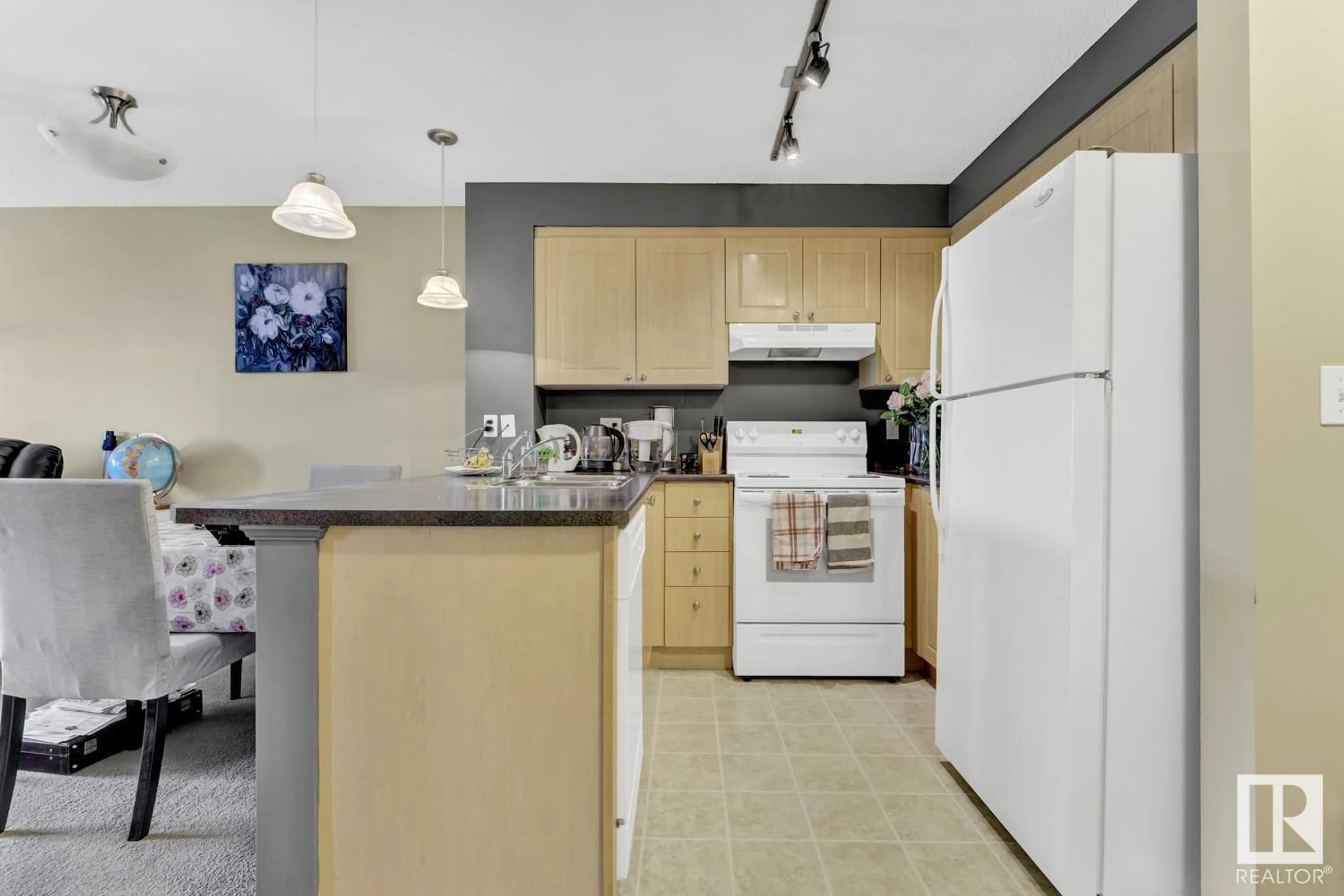 Standard kitchen, unknown for #204 - 630 MCALLISTER LO, Edmonton Alberta T6W1N3