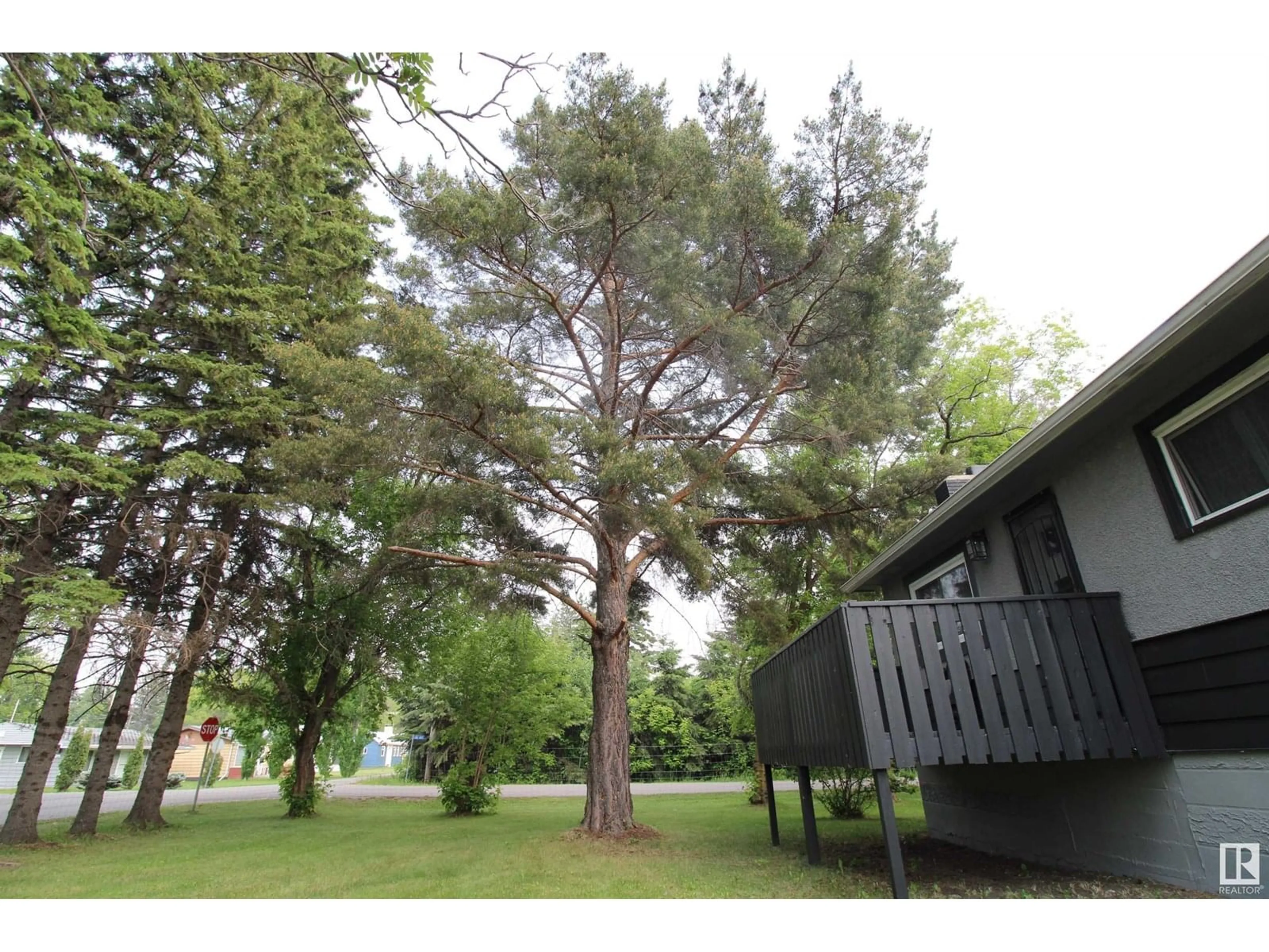 A pic from outside/outdoor area/front of a property/back of a property/a pic from drone, forest/trees view for 4804 52, Rural Lac Ste. Anne County Alberta T0E0A0