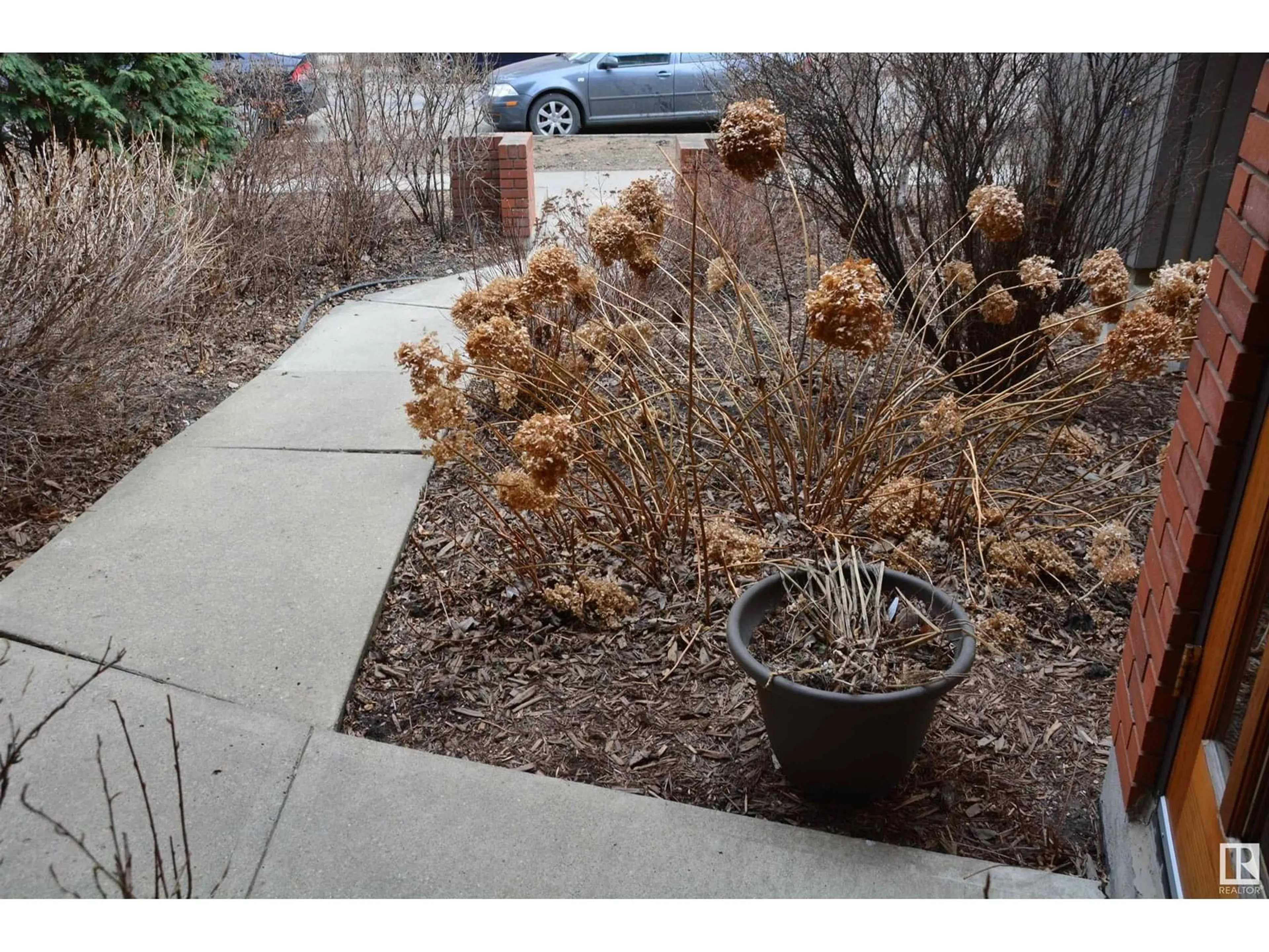 Patio, street for 11176 83 AV, Edmonton Alberta T6G0V1