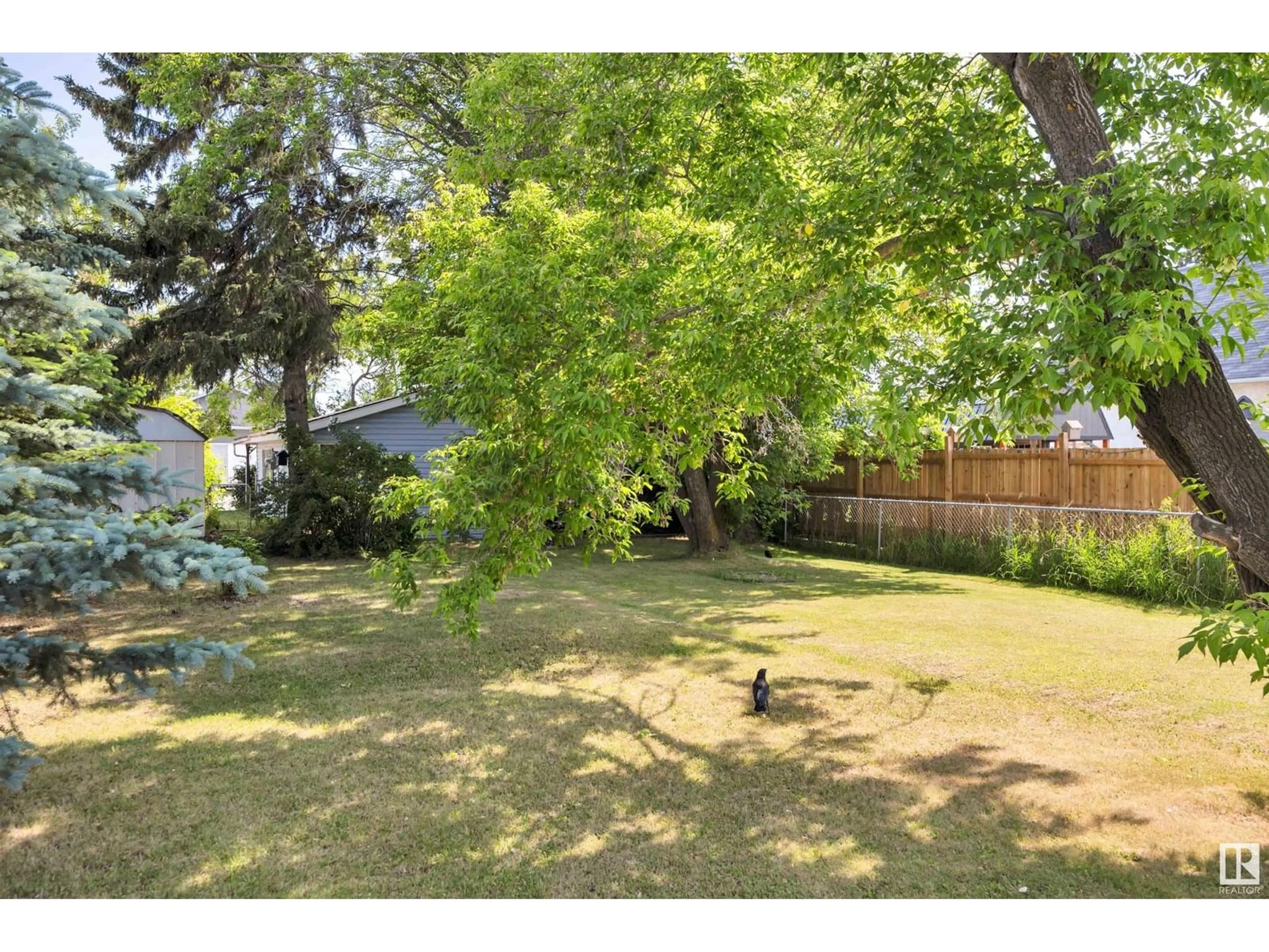 A pic from outside/outdoor area/front of a property/back of a property/a pic from drone, forest/trees view for 5012 49 AV, Millet Alberta T0C1Z0