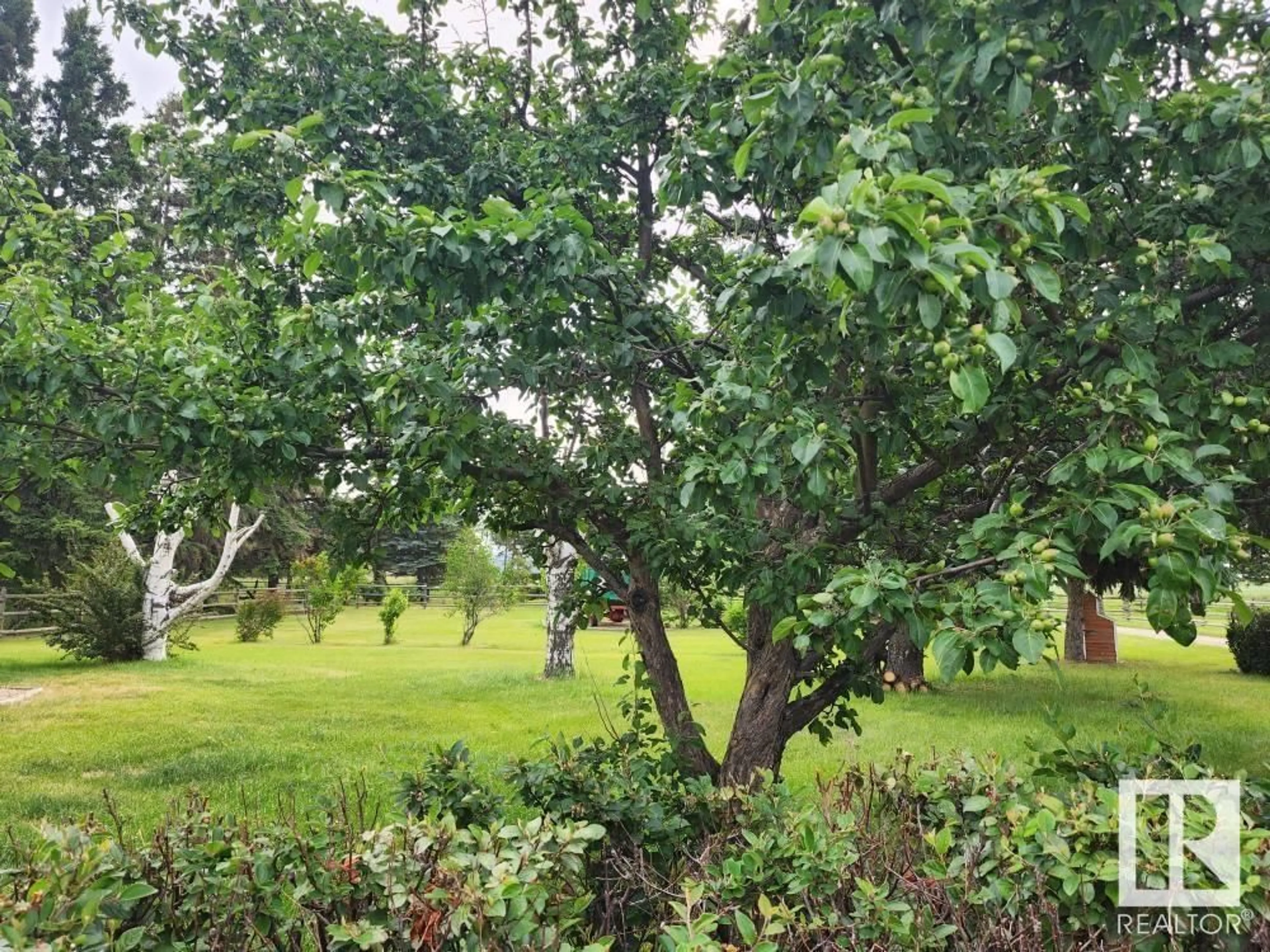 Patio, forest/trees view for 49238 RGE ROAD 253, Rural Leduc County Alberta T9E6M1