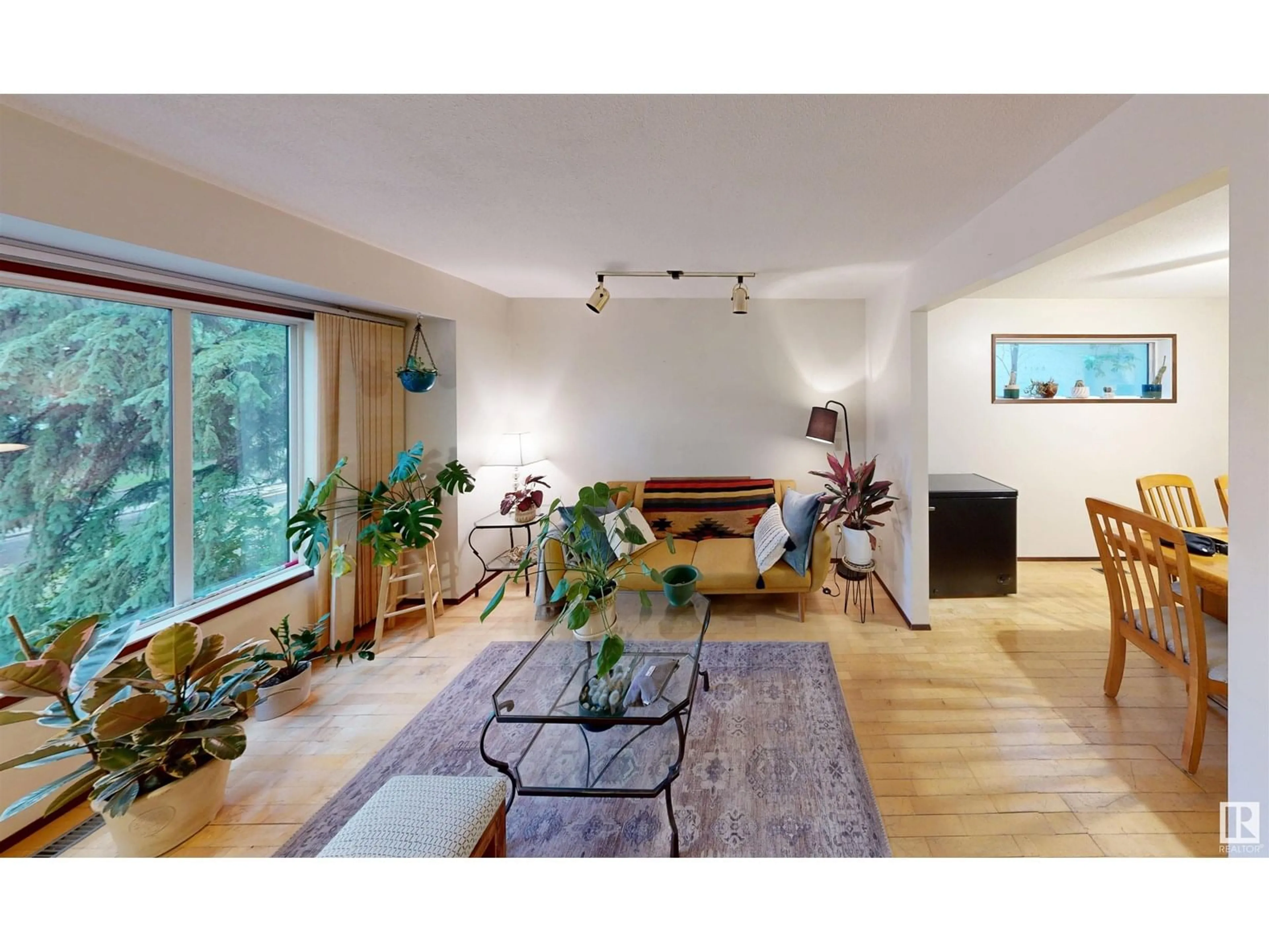 Living room with furniture, wood/laminate floor for NW - 7914 & 7916 110 ST, Edmonton Alberta T6G1G4