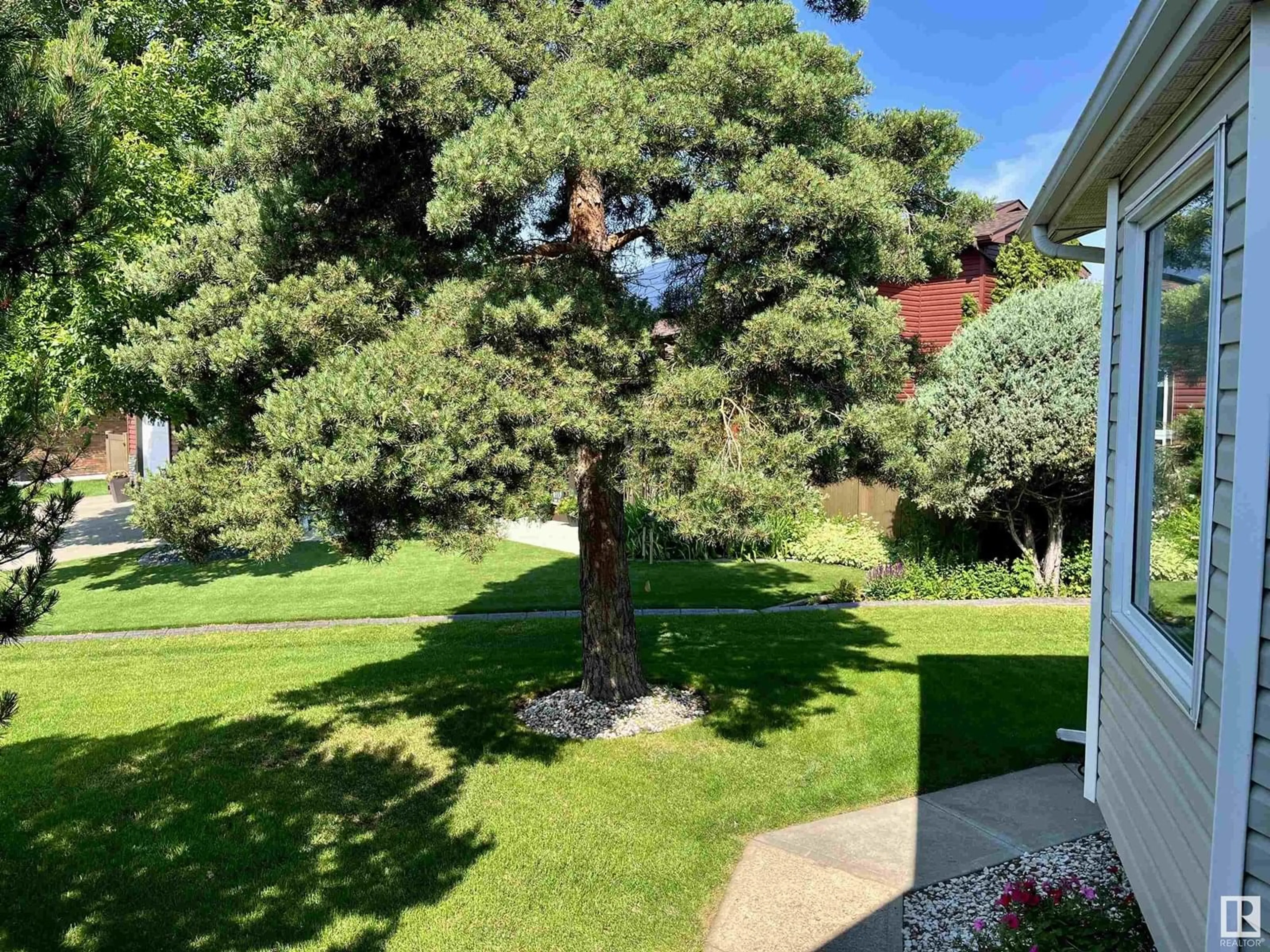 A pic from outside/outdoor area/front of a property/back of a property/a pic from drone, forest/trees view for 5741 43A ST, Vegreville Alberta T9C1E3